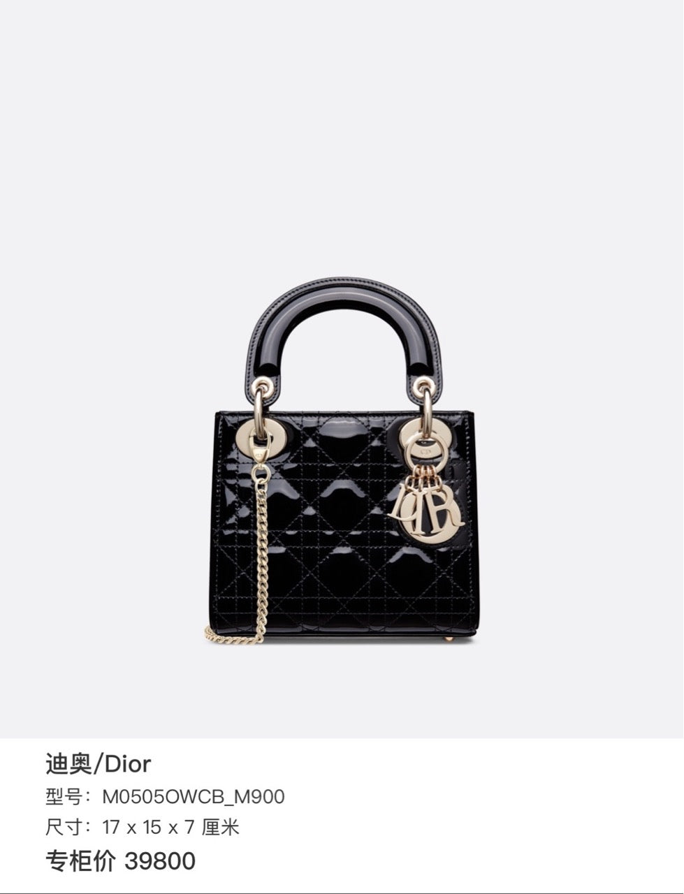 Dior 17 x 15 x 7 centimeters M0505OVRBM900