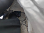 Gucci Belt Bag & Fanny Pack