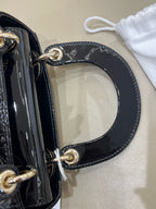 Dior 17 x 15 x 7 centimeters M0505OVRBM900