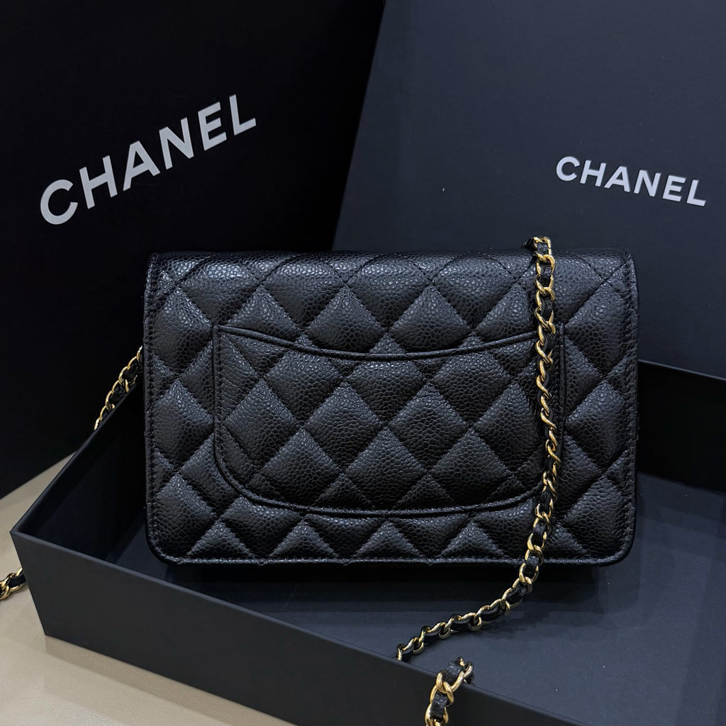 Chanel woc 19.2×4×12.5 AP0250-Y01864-C3906