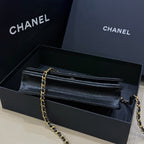 Chanel woc 19.2×4×12.5 AP0250-Y01864-C3906