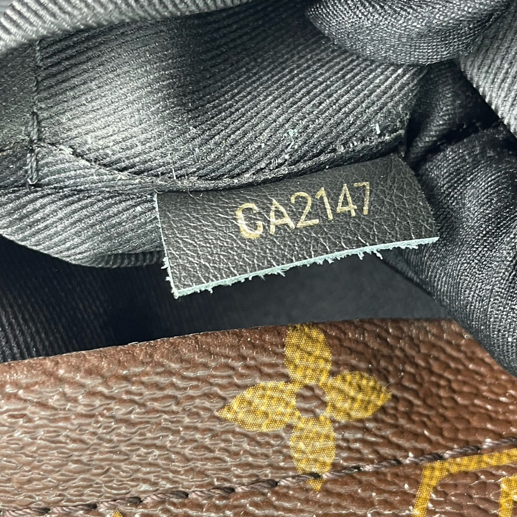 Louis Vuitton Backpack