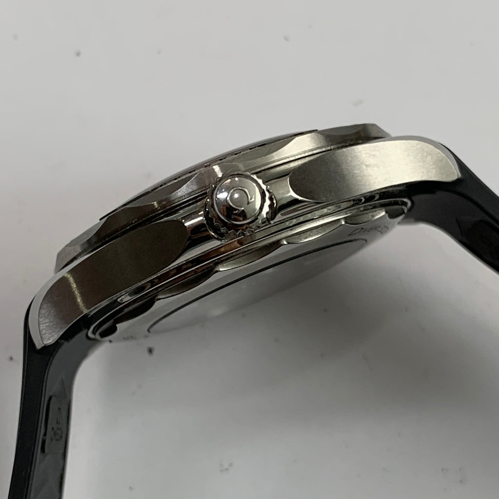 Omega Seahorse Series 42  210.32.42.20.06.002