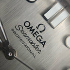 Omega Seahorse Series 42  210.32.42.20.06.002