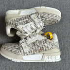 Louis Vuitton Skate shoes