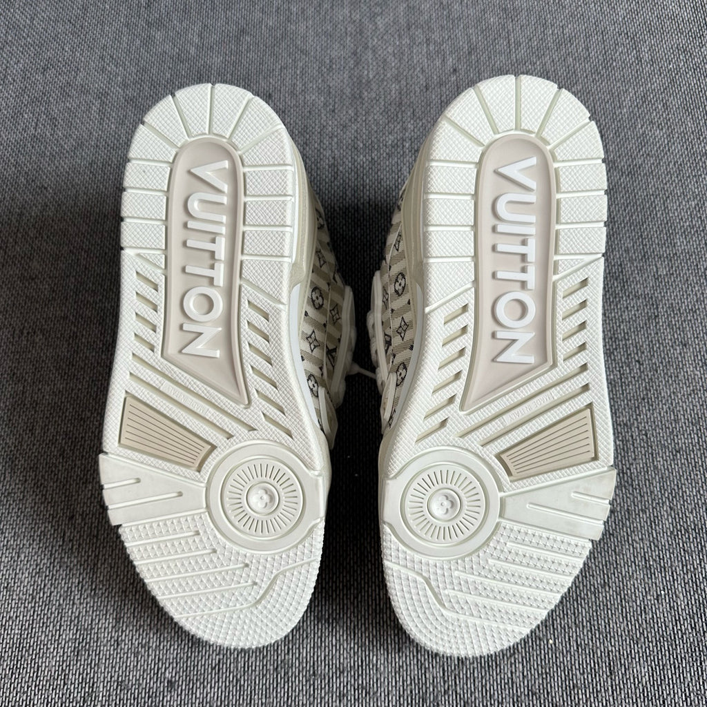 Louis Vuitton Skate shoes