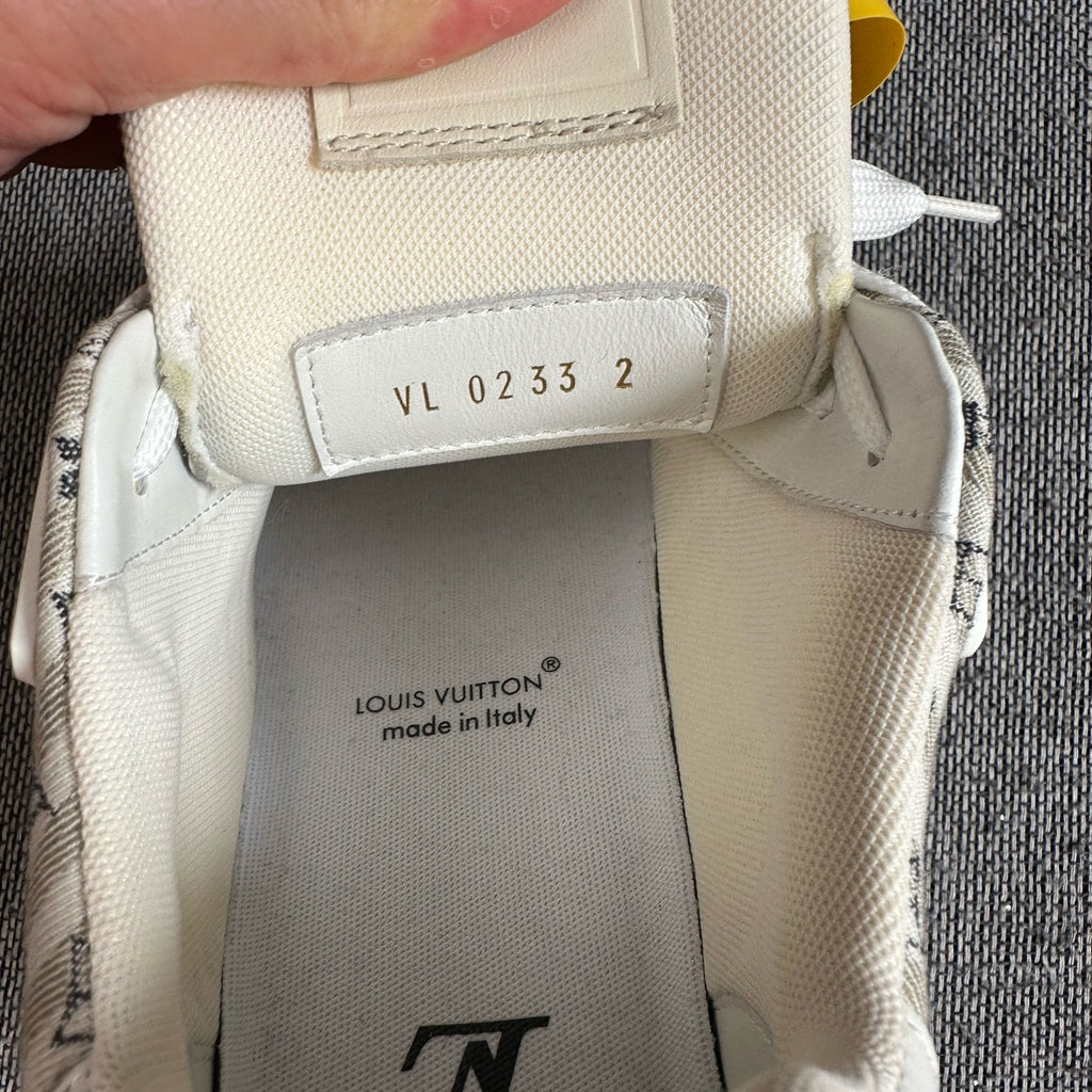 Louis Vuitton Skate shoes