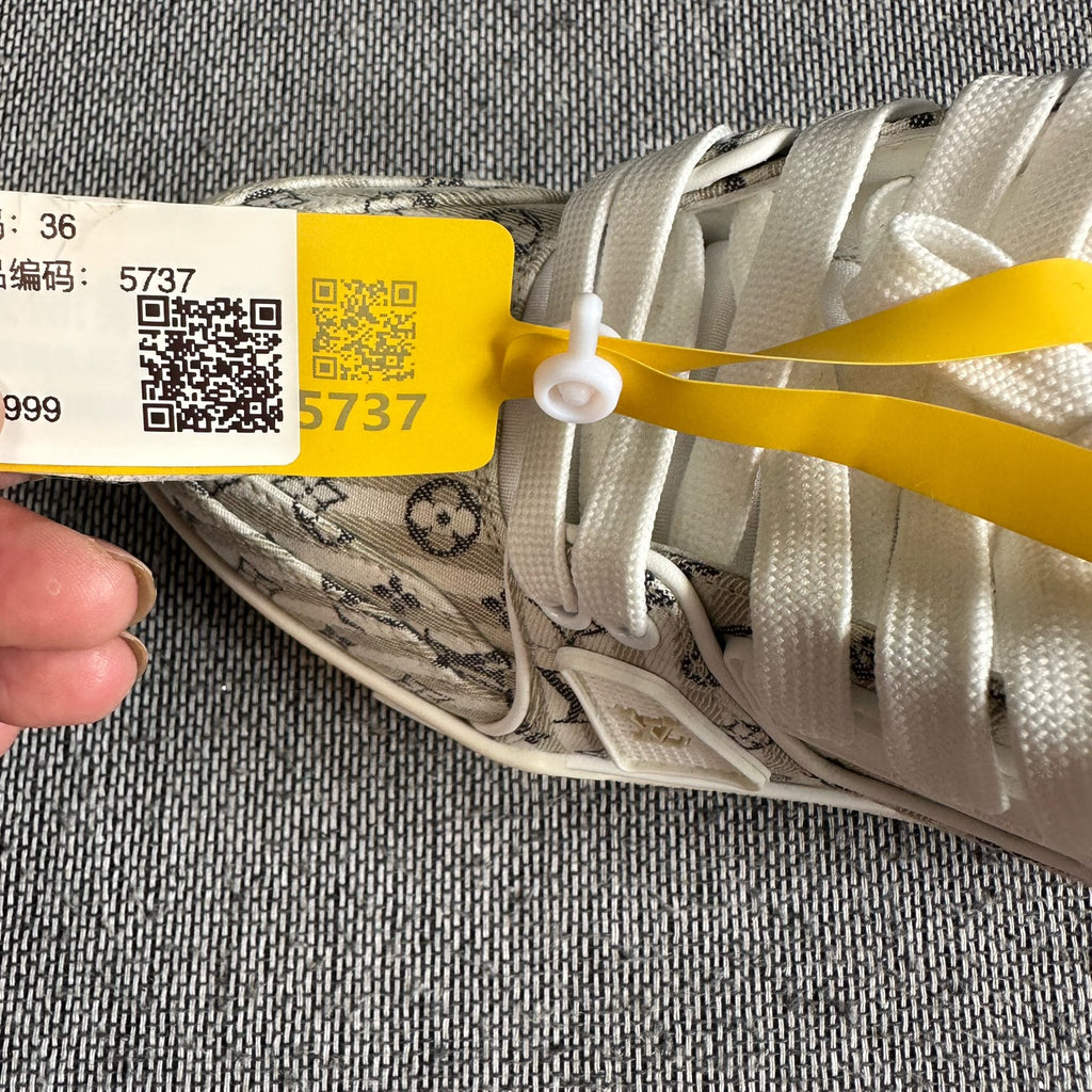 Louis Vuitton Skate shoes
