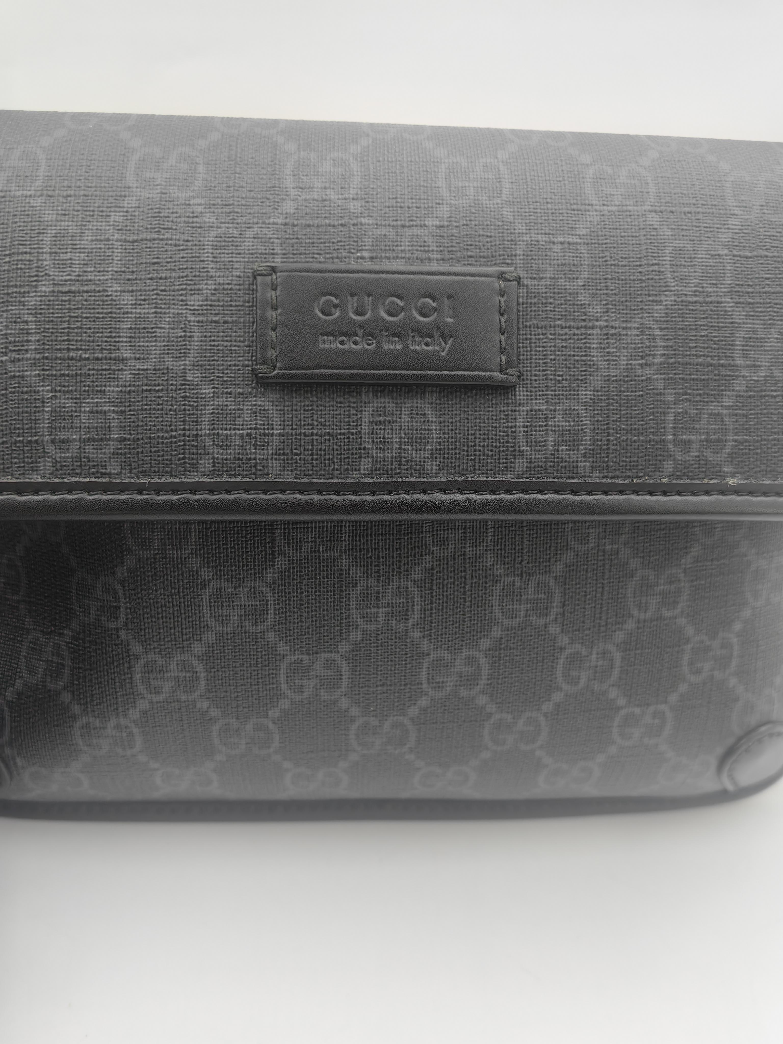 Gucci Belt Bag & Fanny Pack