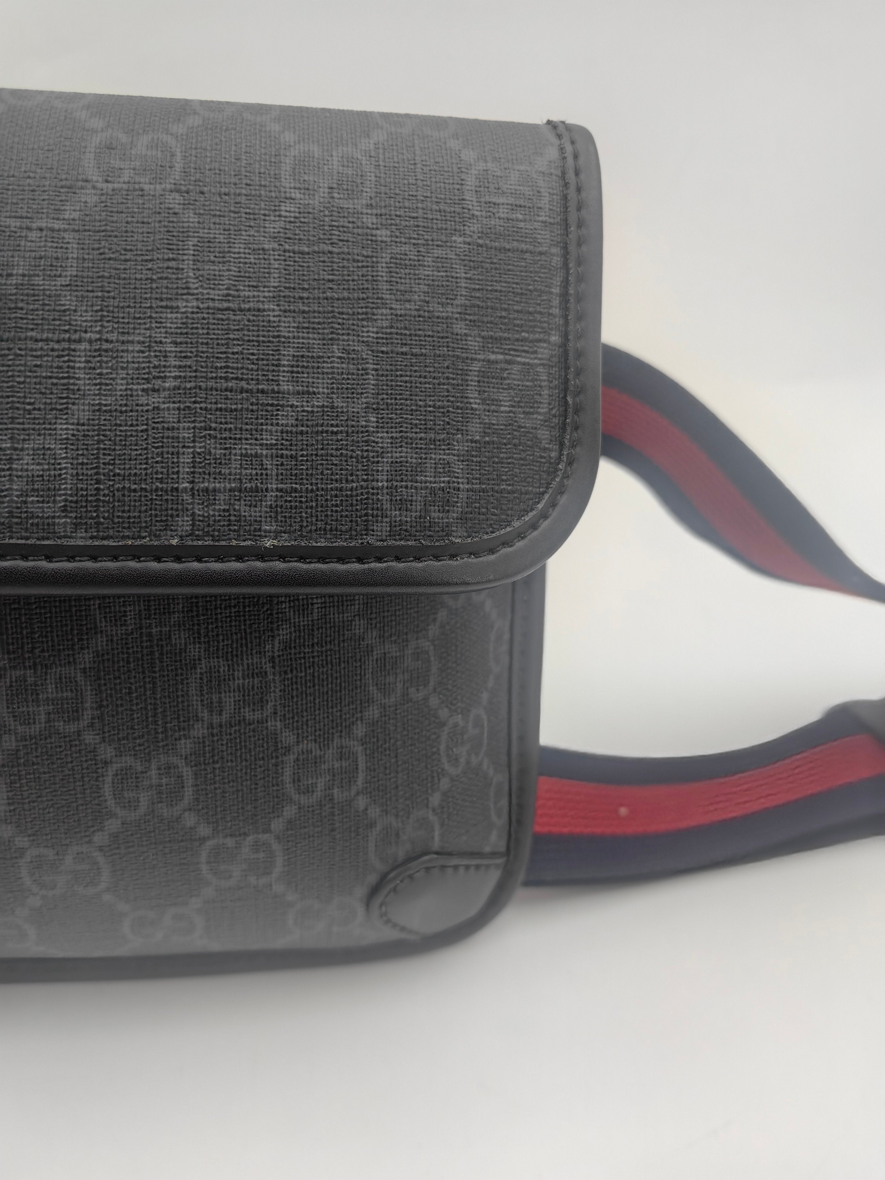 Gucci Belt Bag & Fanny Pack