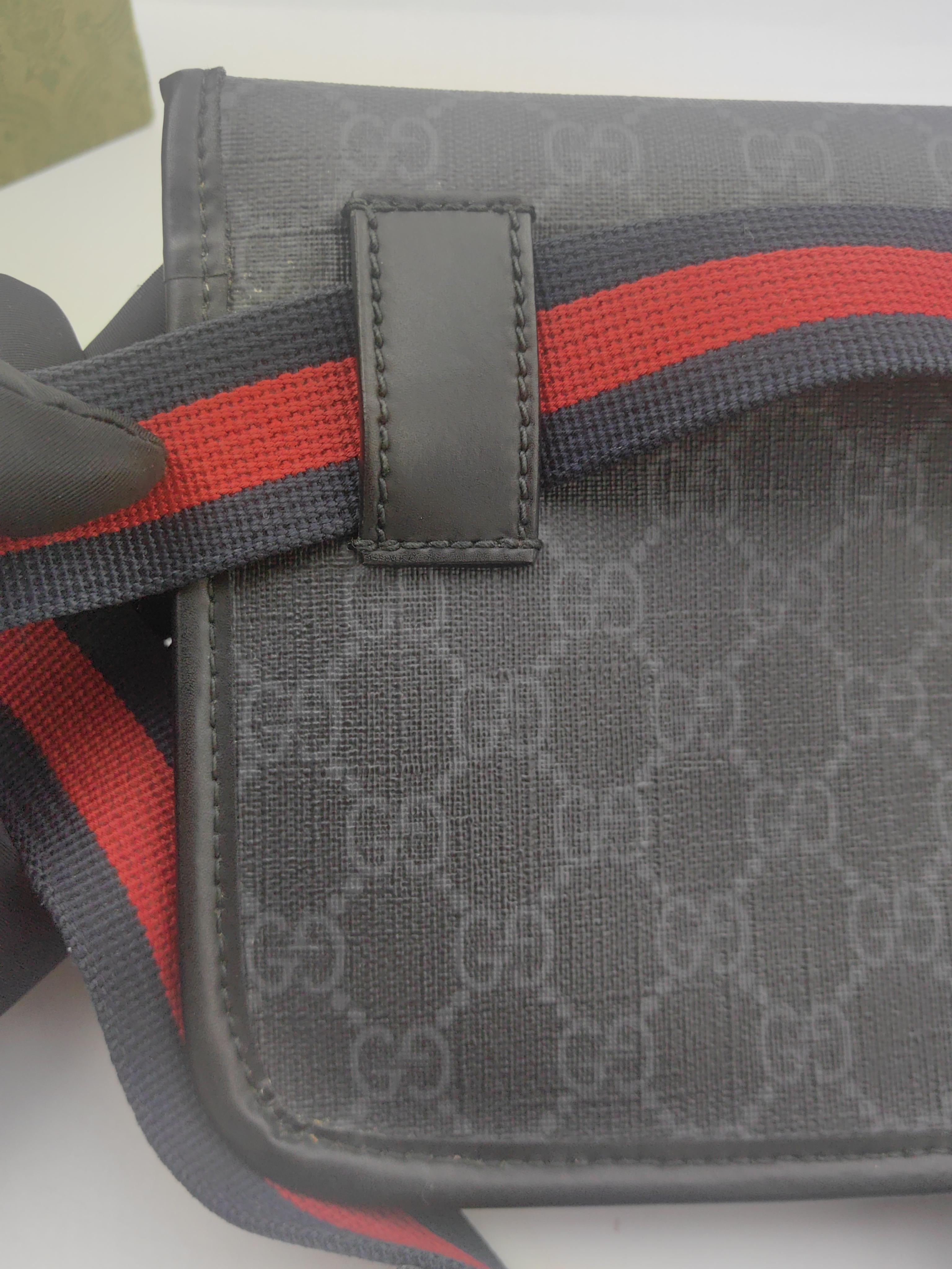 Gucci Belt Bag & Fanny Pack