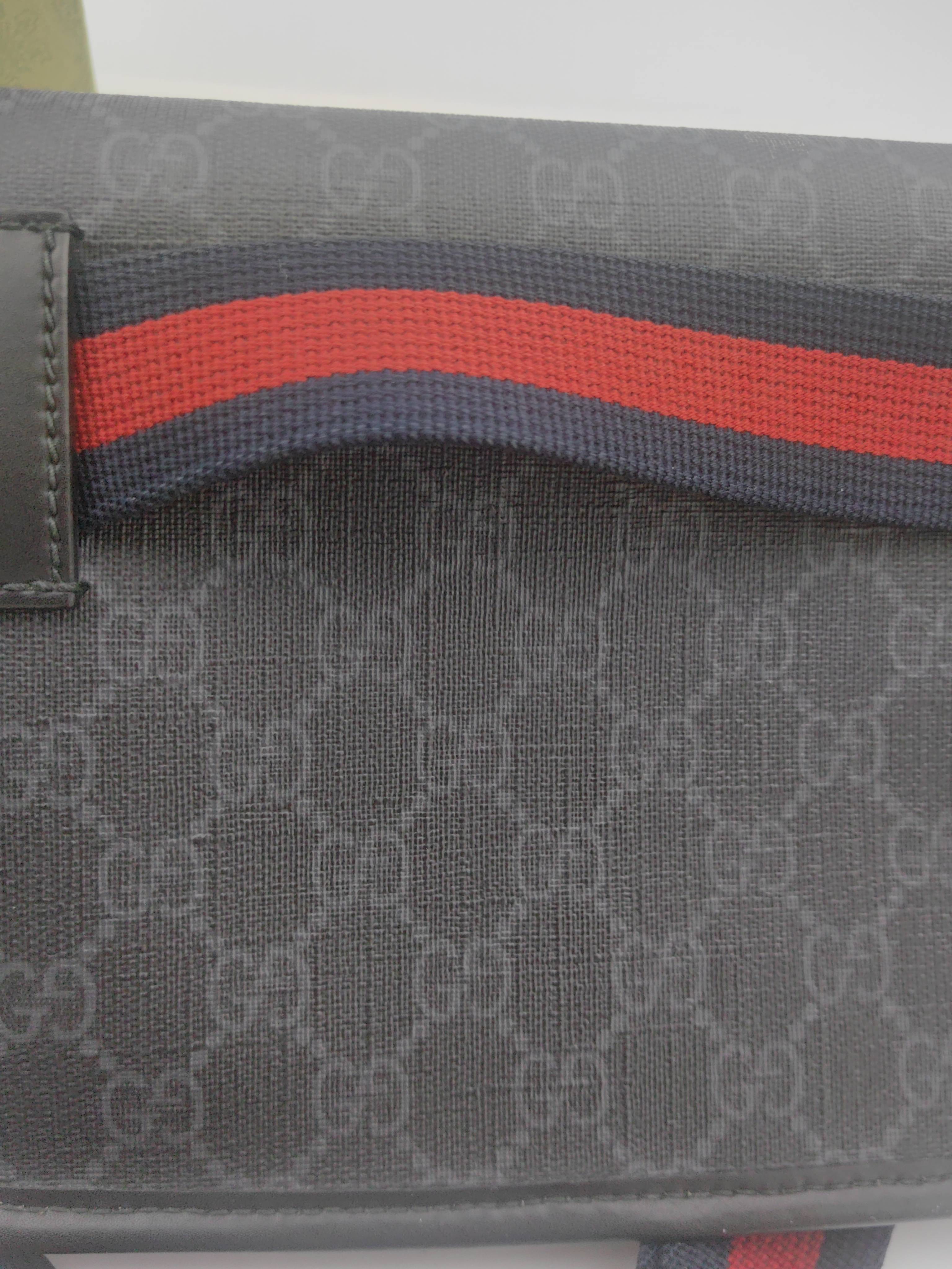 Gucci Belt Bag & Fanny Pack