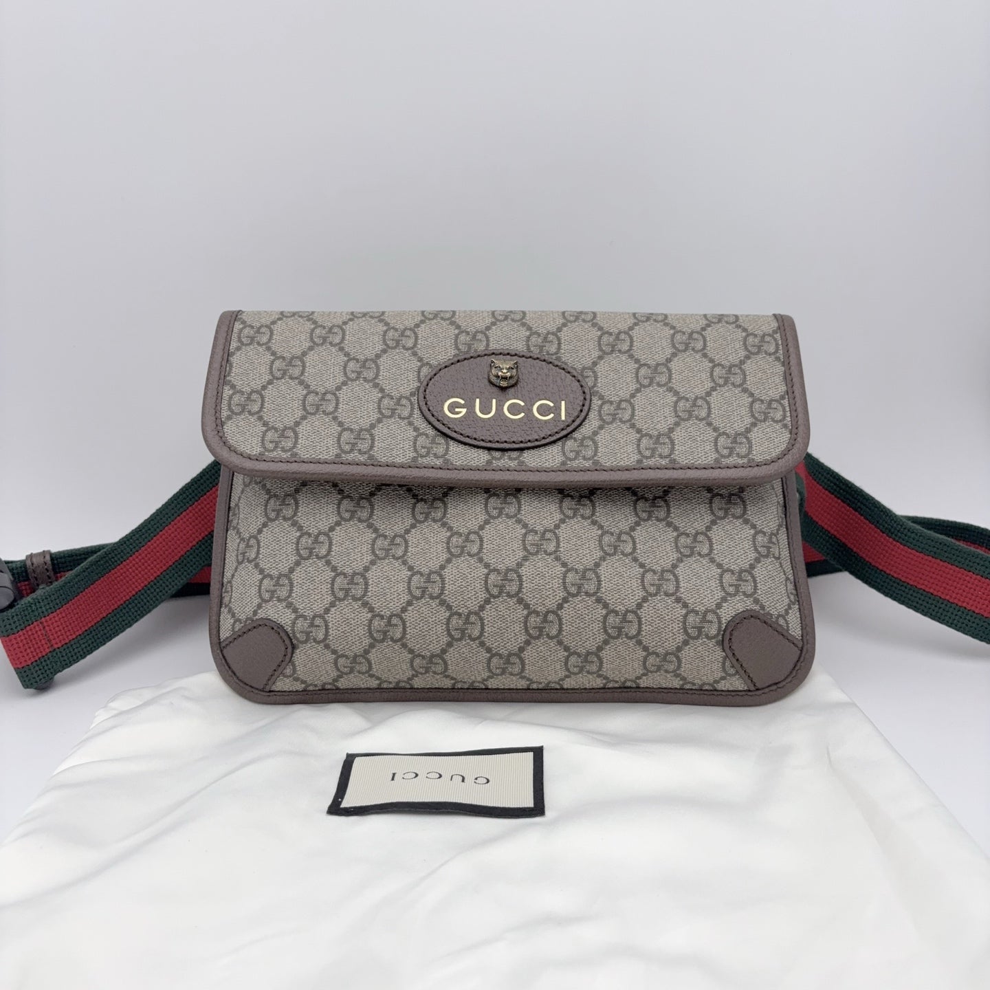 Gucci Canvas Sling Bag