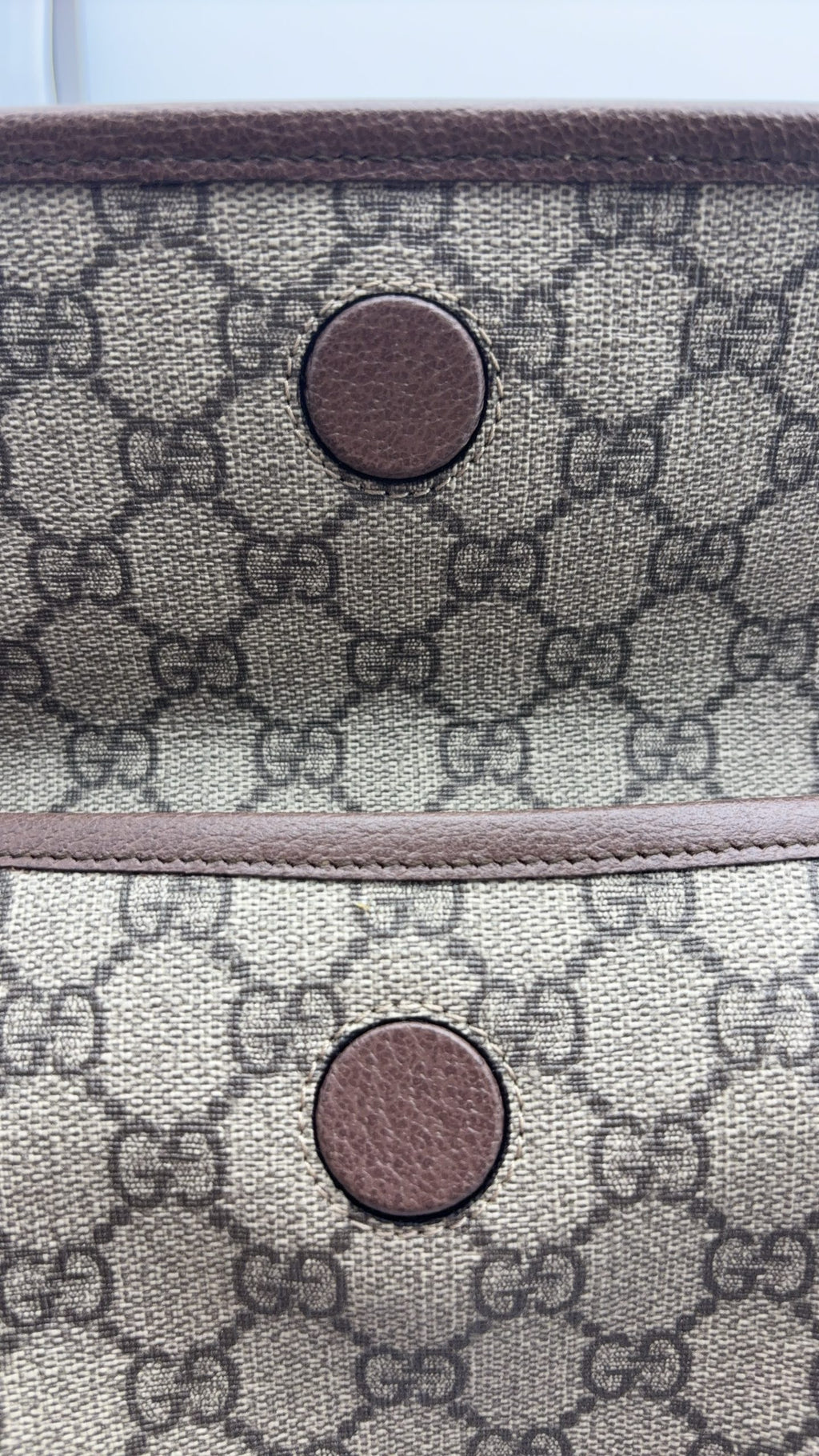Gucci Canvas Sling Bag