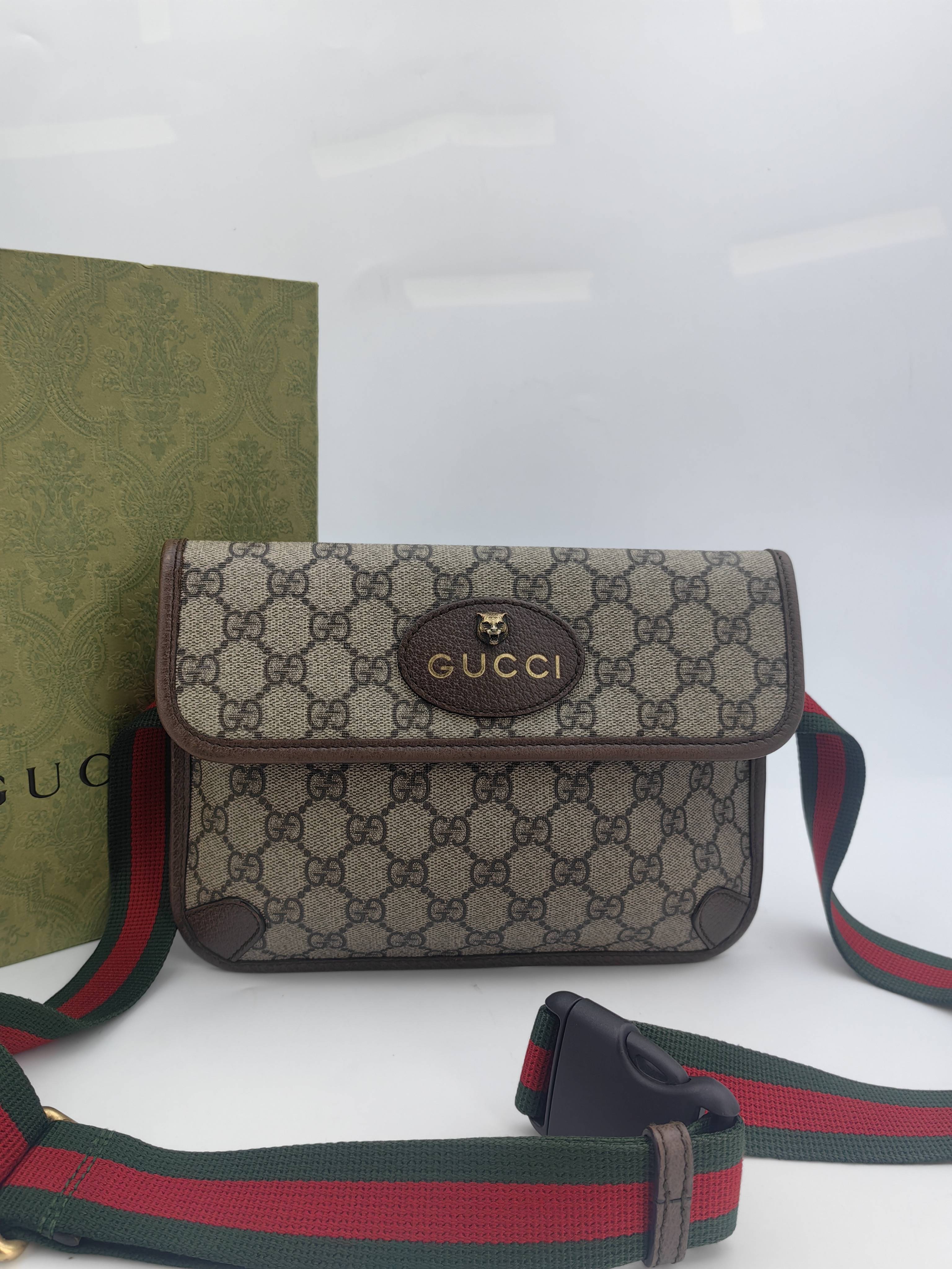 Gucci Belt Bag & Fanny Pack