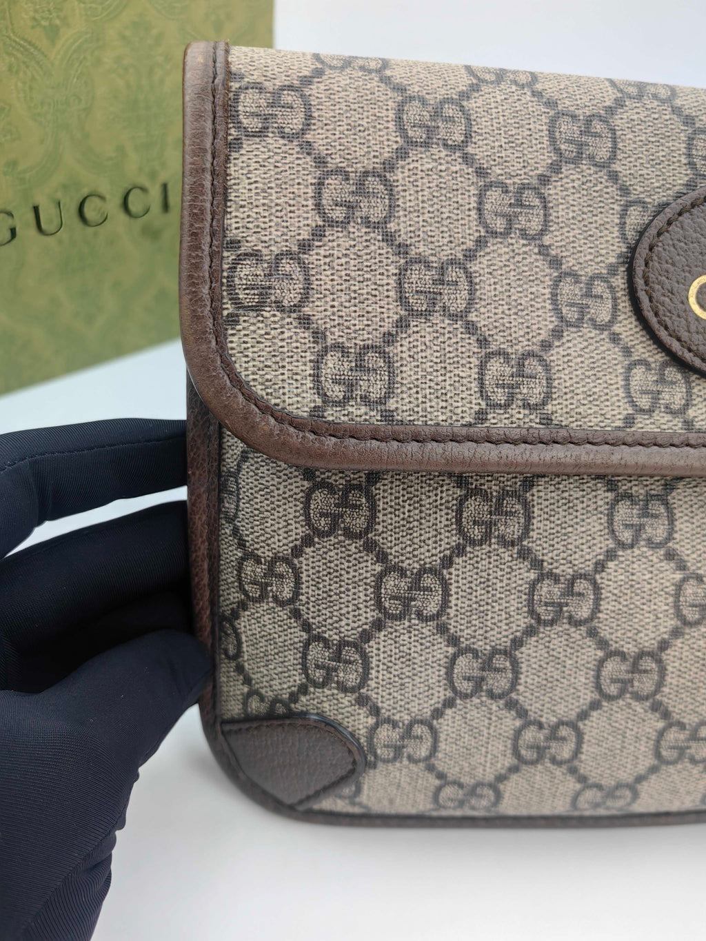 Gucci Belt Bag & Fanny Pack