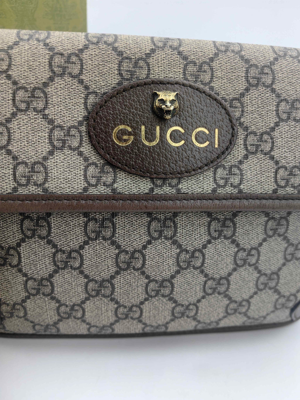 Gucci Belt Bag & Fanny Pack