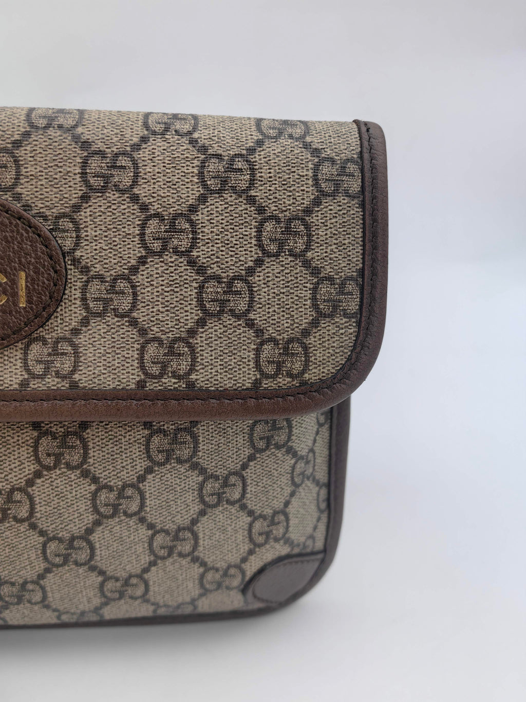 Gucci Belt Bag & Fanny Pack