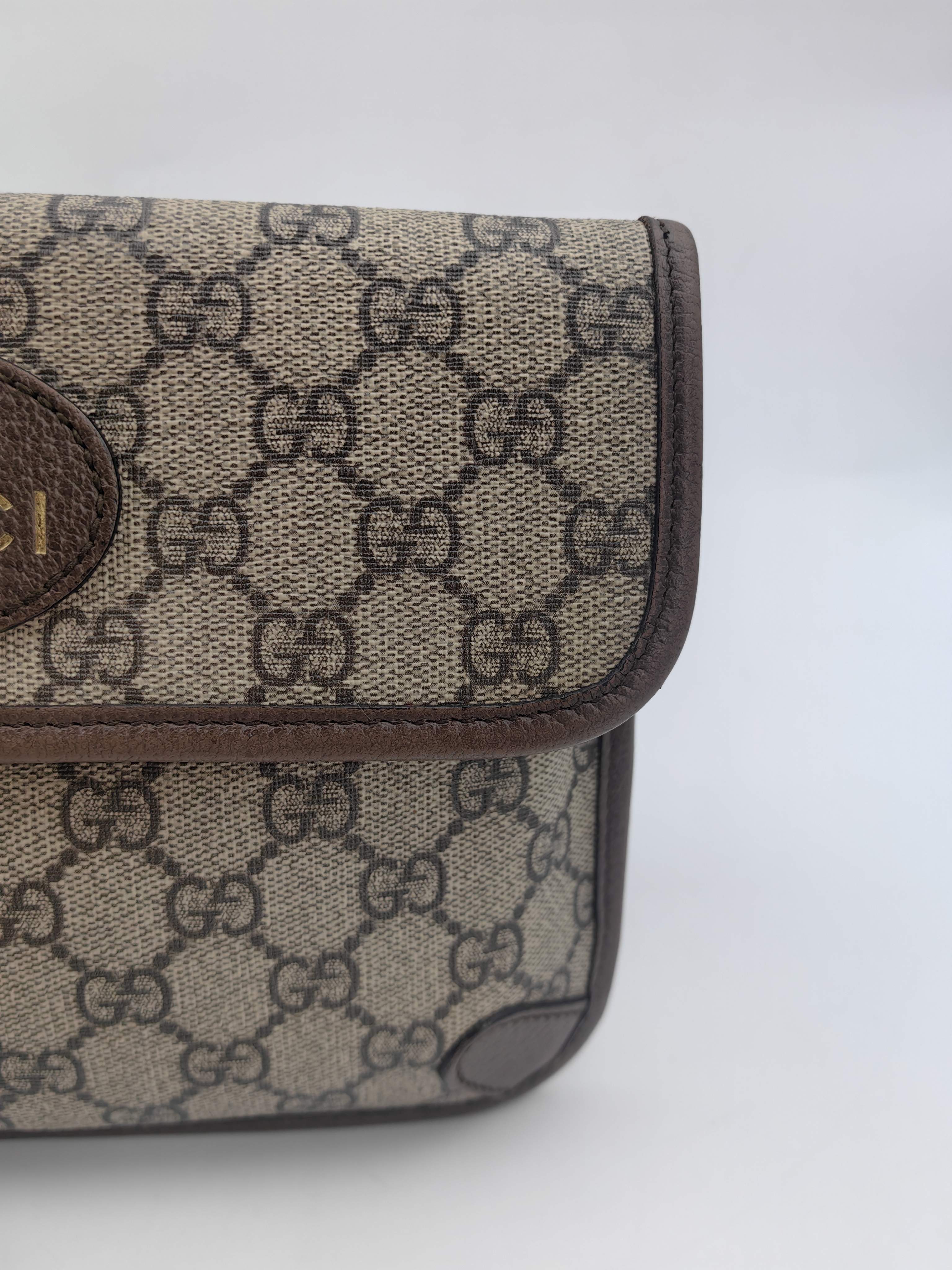 Gucci Belt Bag & Fanny Pack