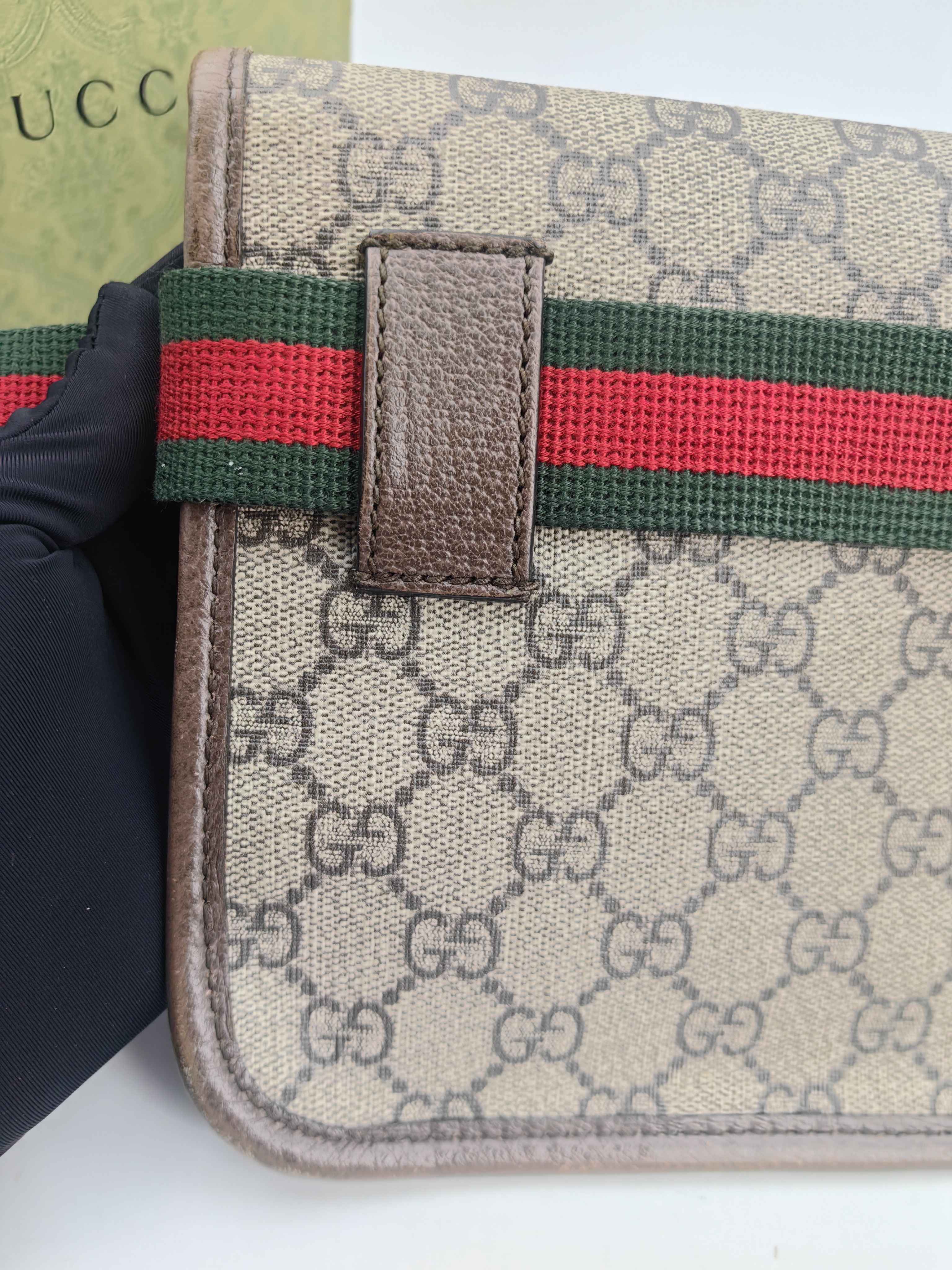 Gucci Belt Bag & Fanny Pack