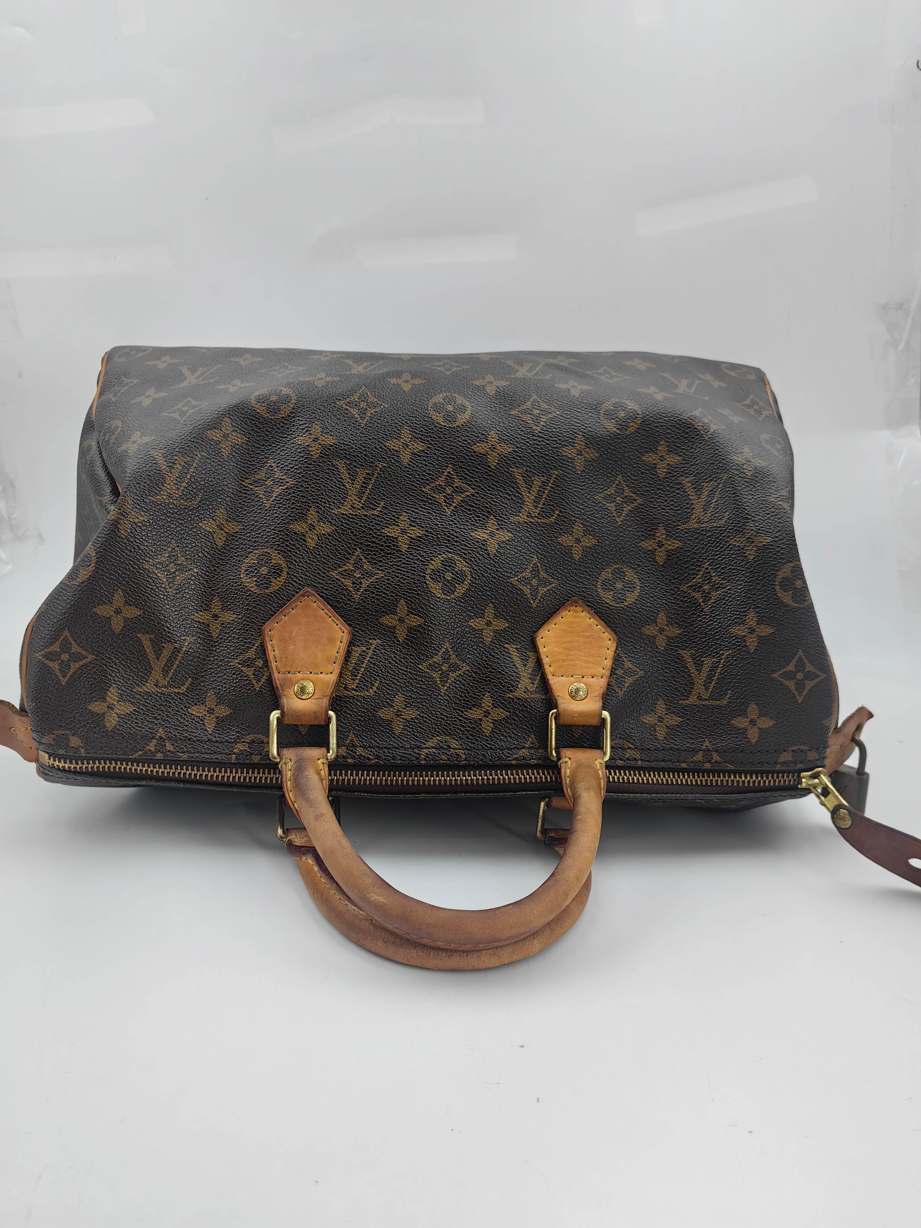 Louis Vuitton Satchel
