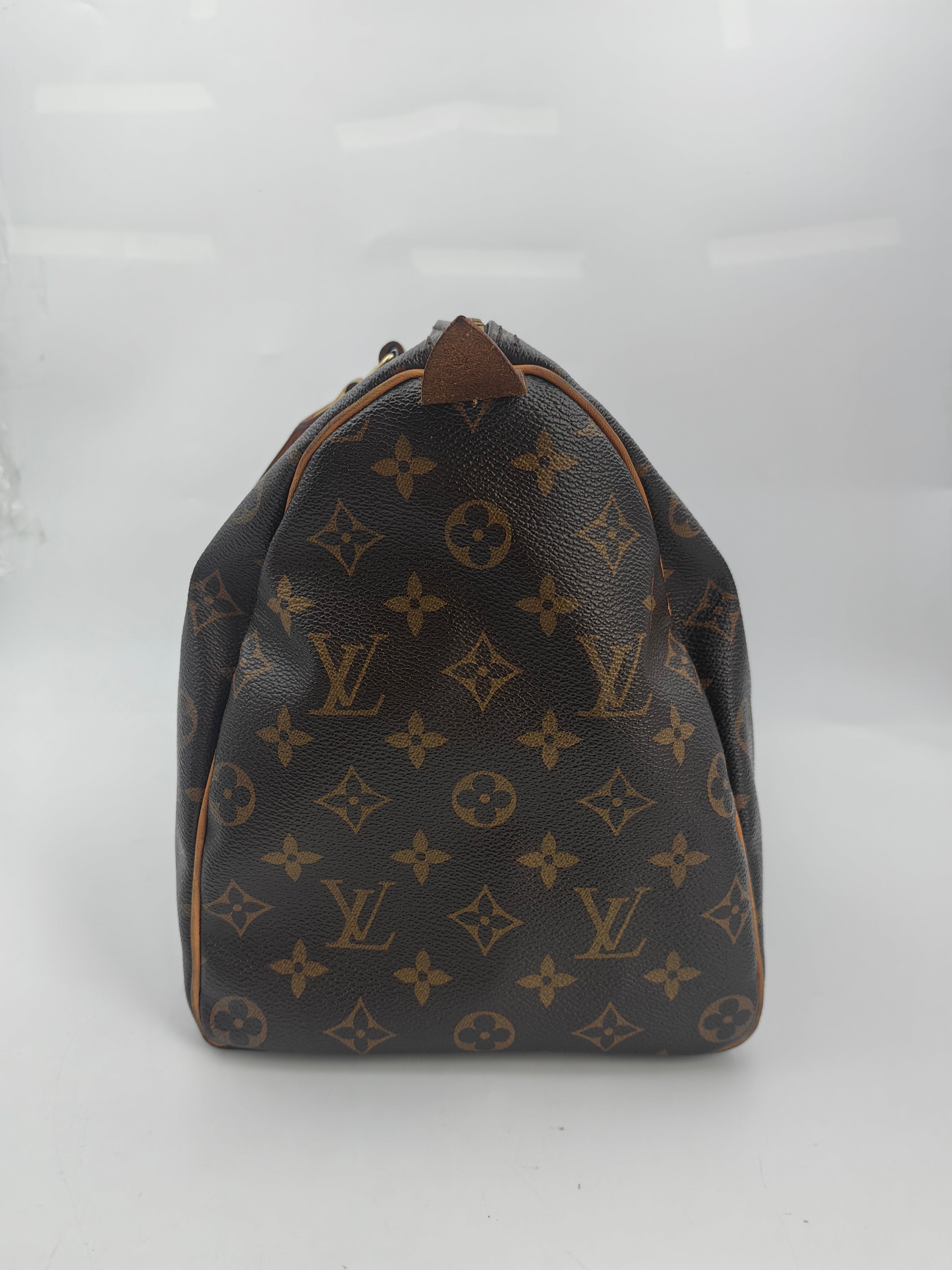 Louis Vuitton Satchel