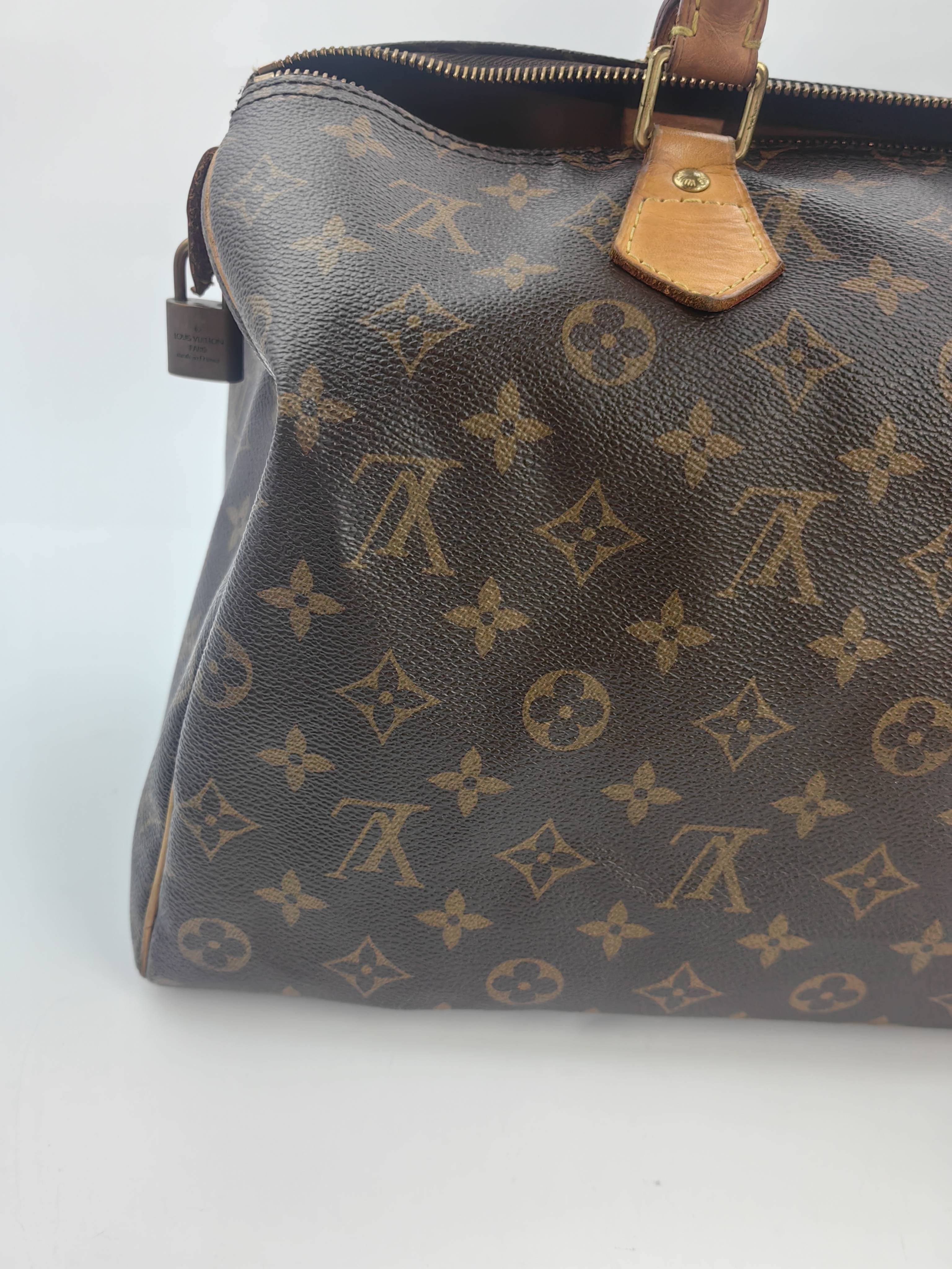 Louis Vuitton Satchel