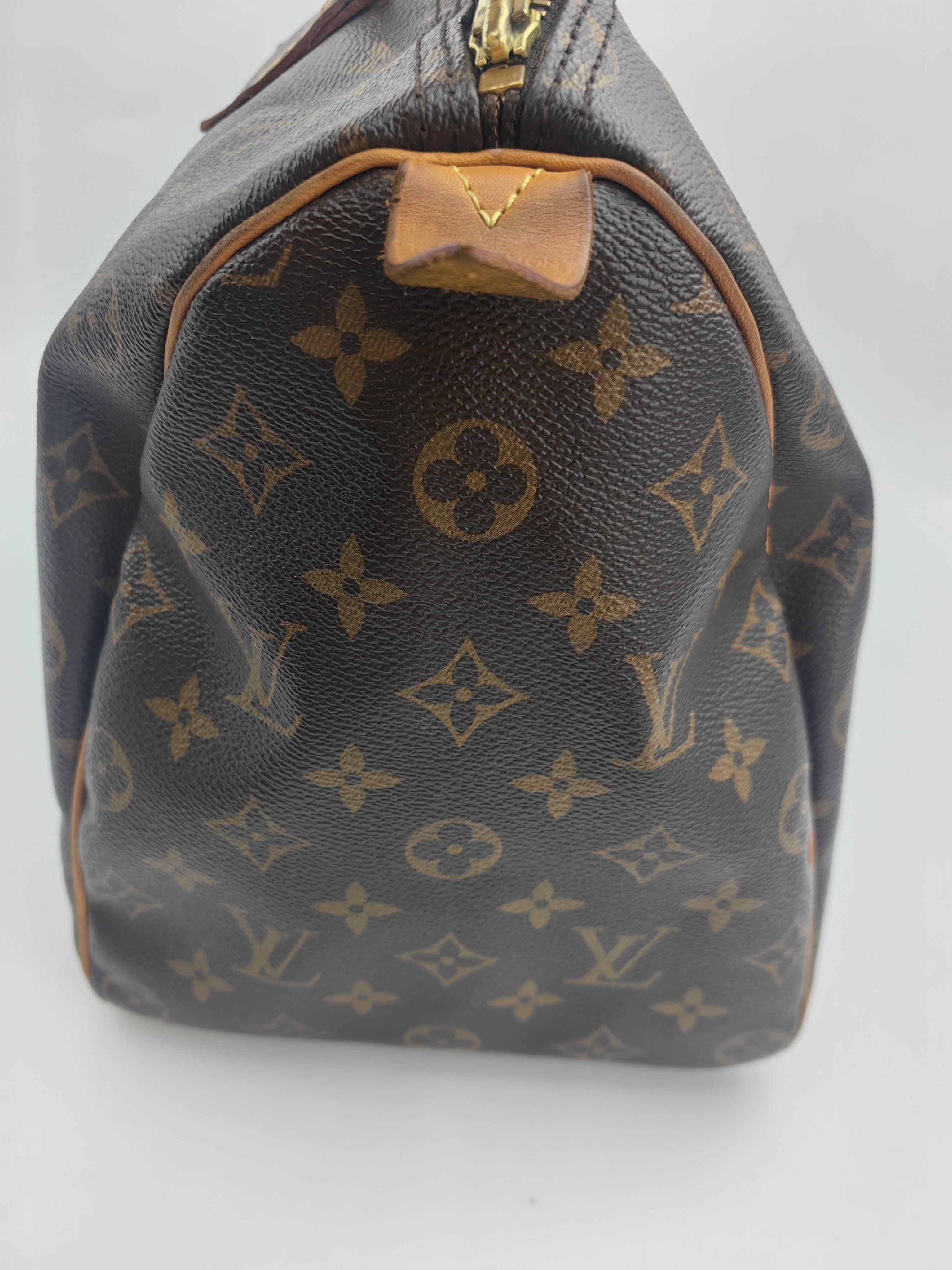 Louis Vuitton Satchel