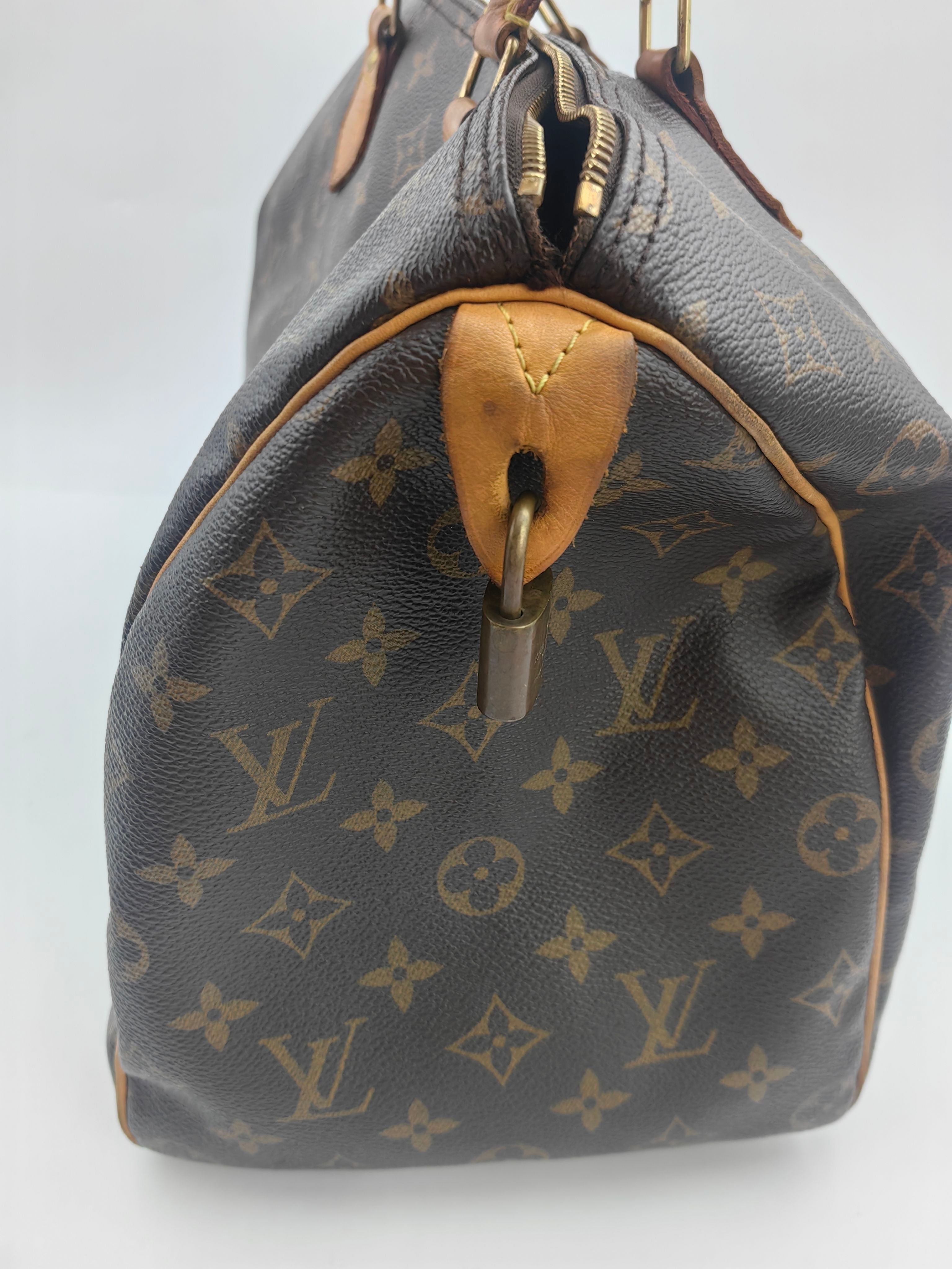 Louis Vuitton Satchel