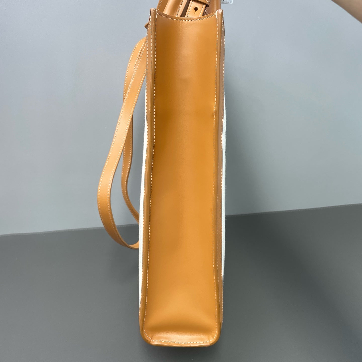 Celine Canvas Brown Shoulder Bag