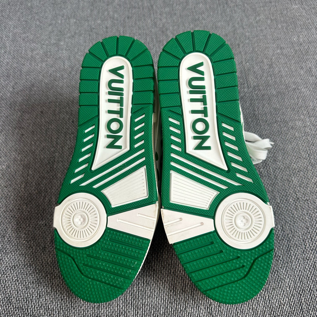 Louis Vuitton Skate shoes