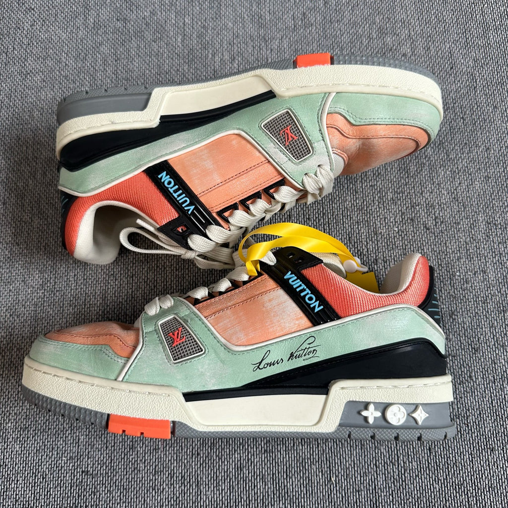 Louis Vuitton Skate shoes