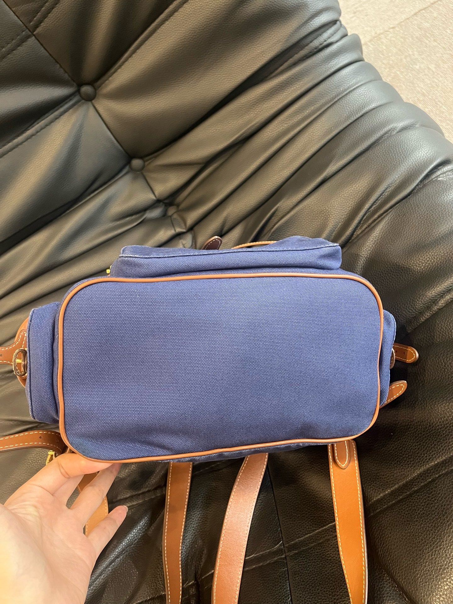Miu Miu Canvas