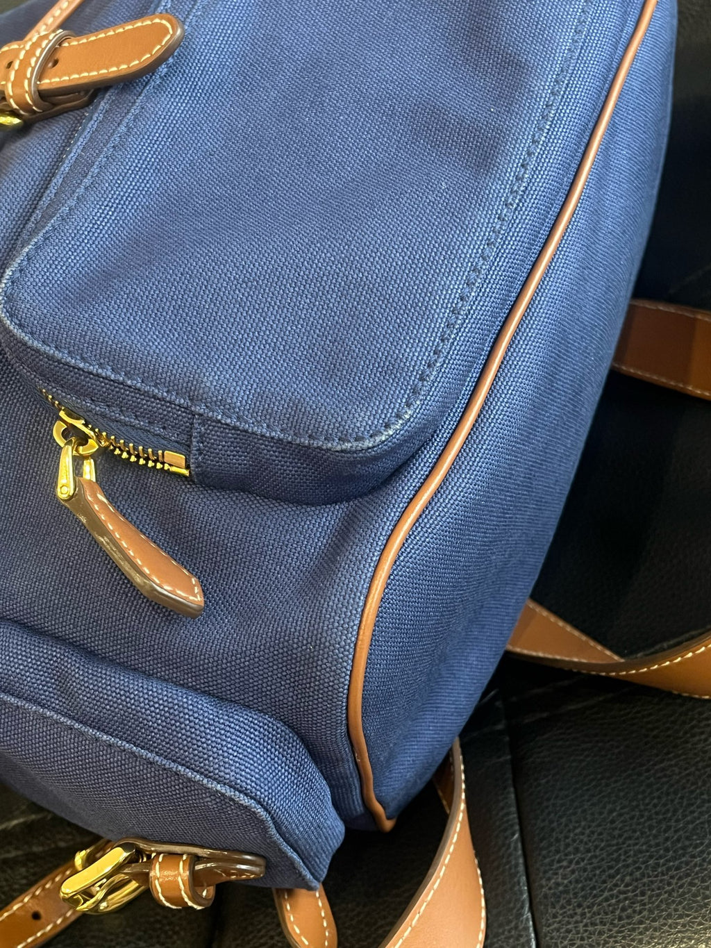 Miu Miu Canvas