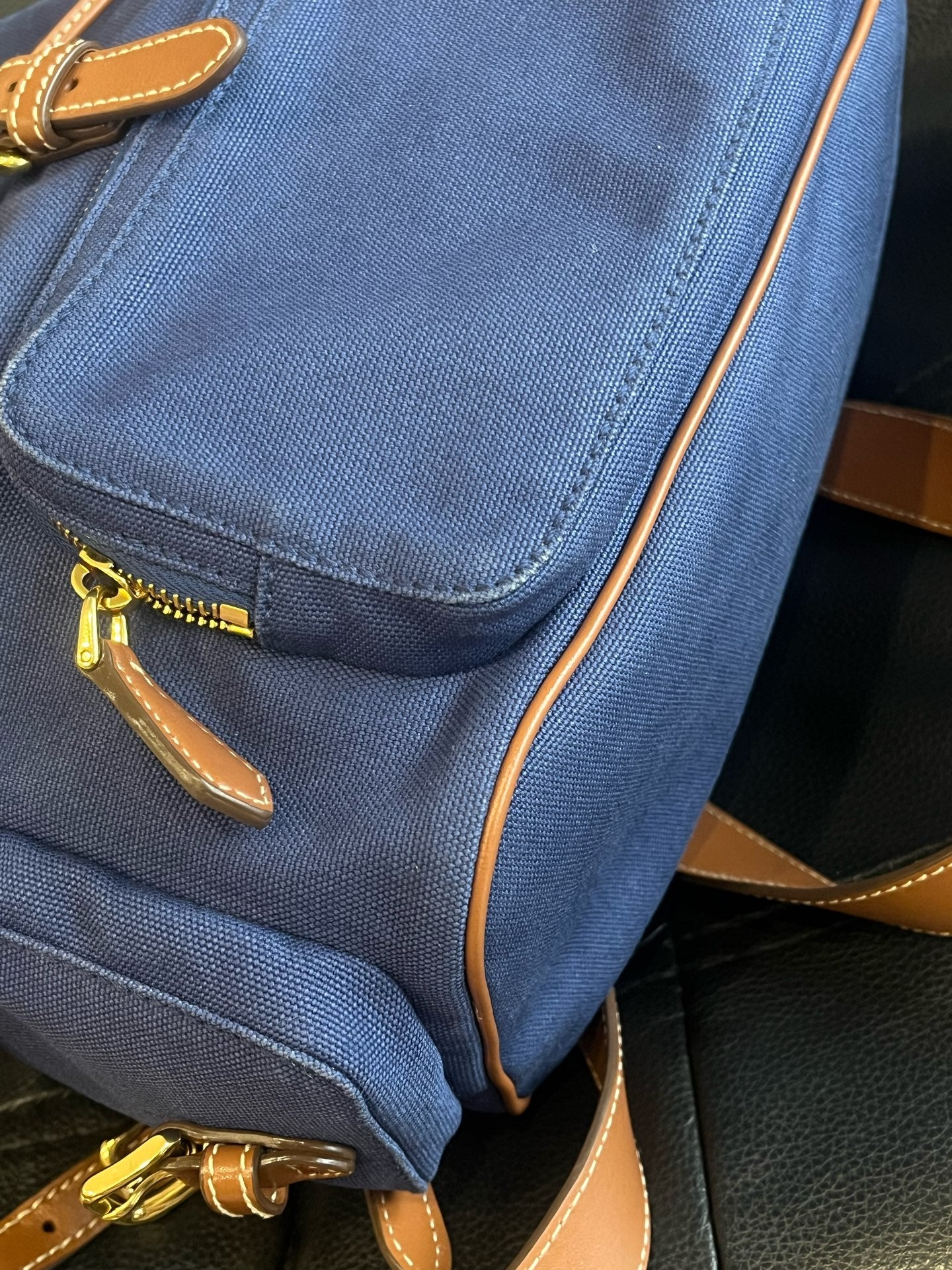 Miu Miu Canvas