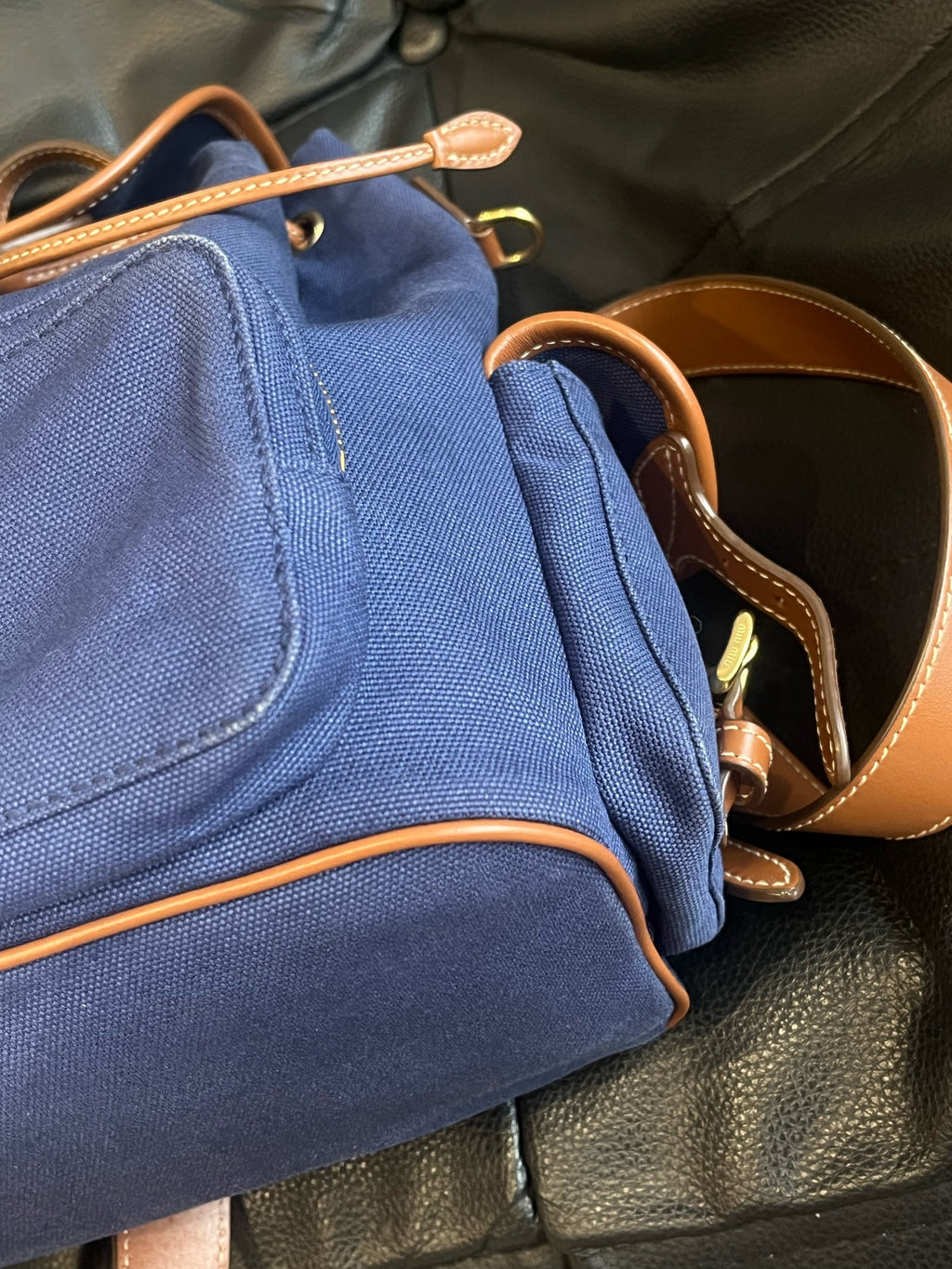 Miu Miu Canvas