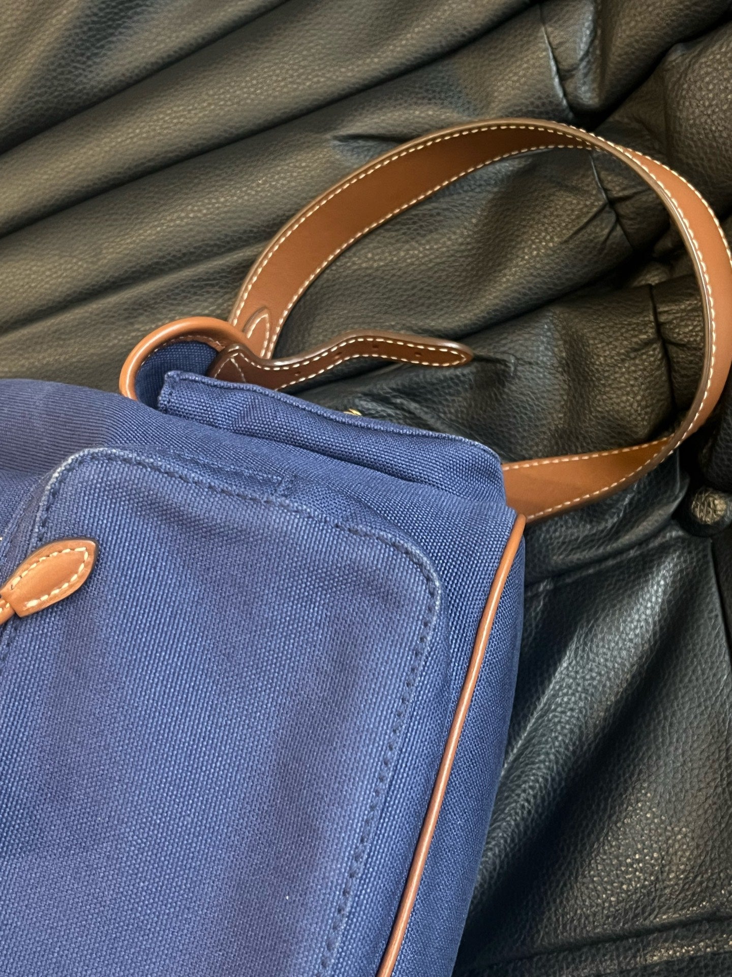 Miu Miu Canvas
