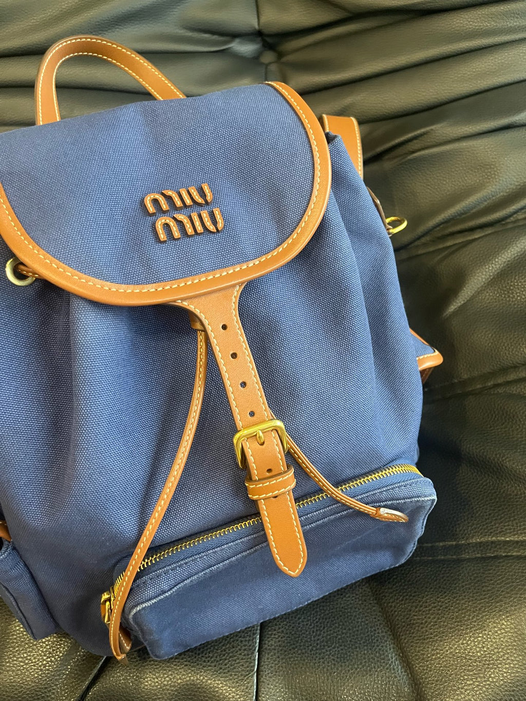 Miu Miu Canvas