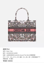 Dior Canvas Satchel