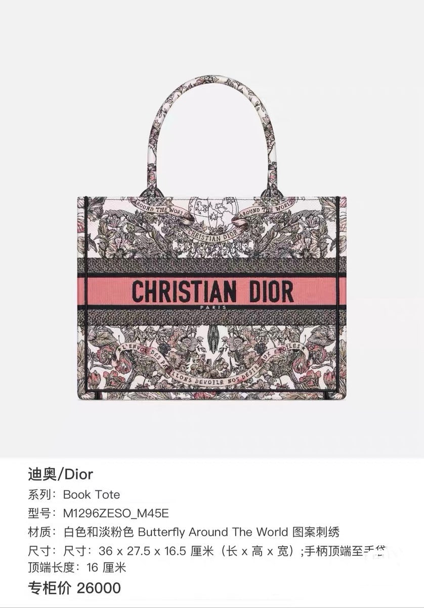 Dior Canvas Satchel