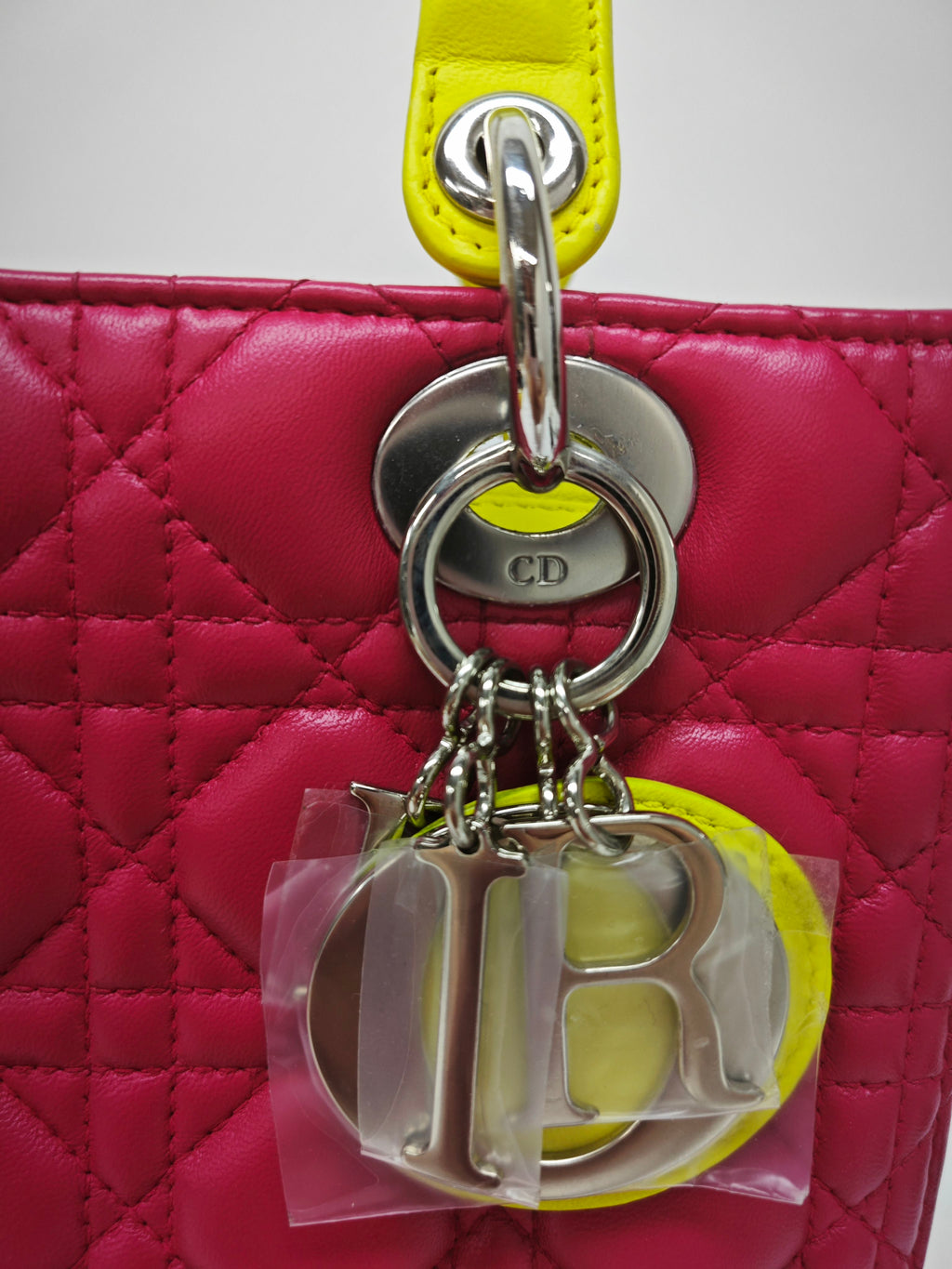 Dior Pink Crossbody