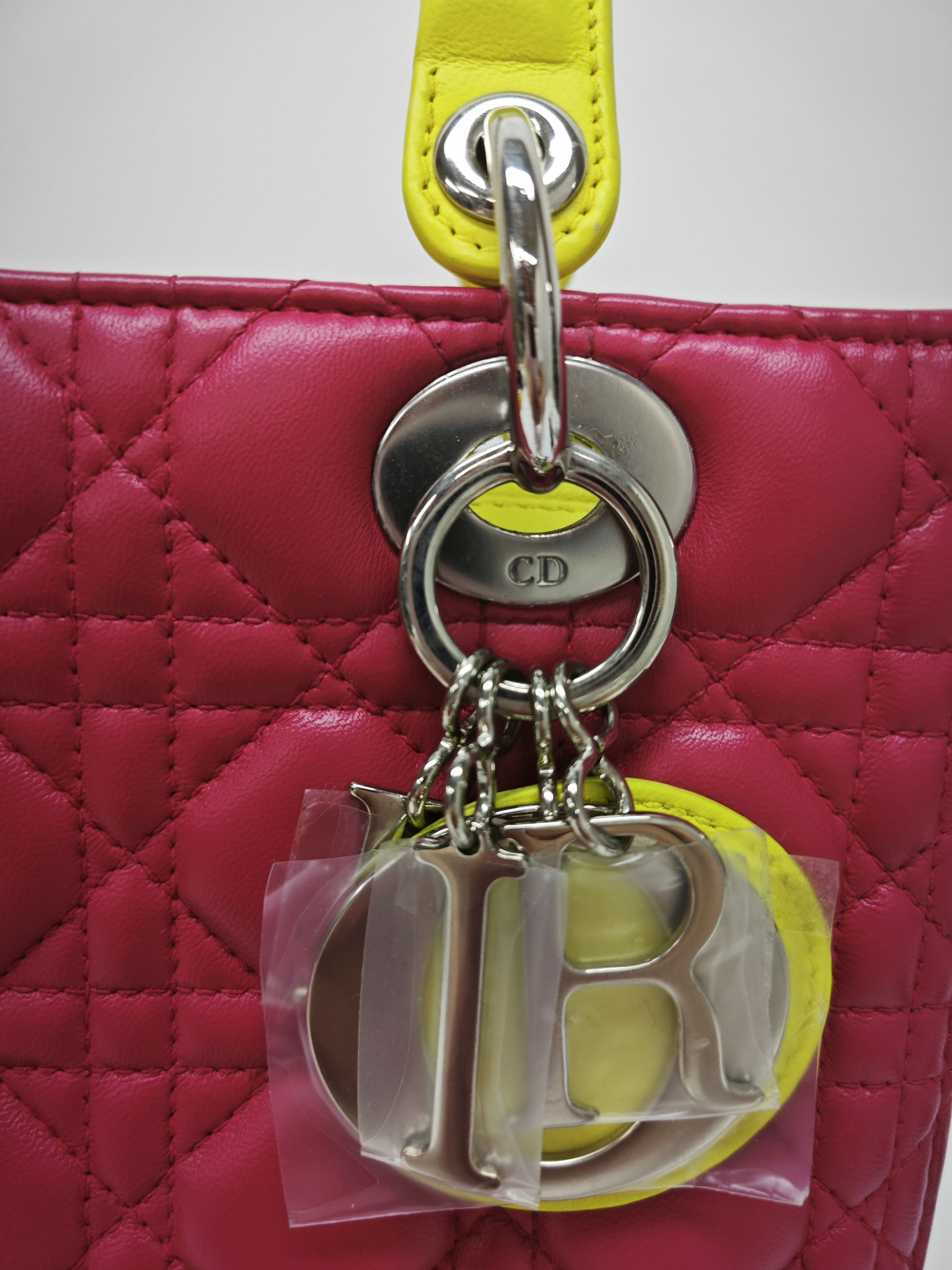 Dior Pink Crossbody