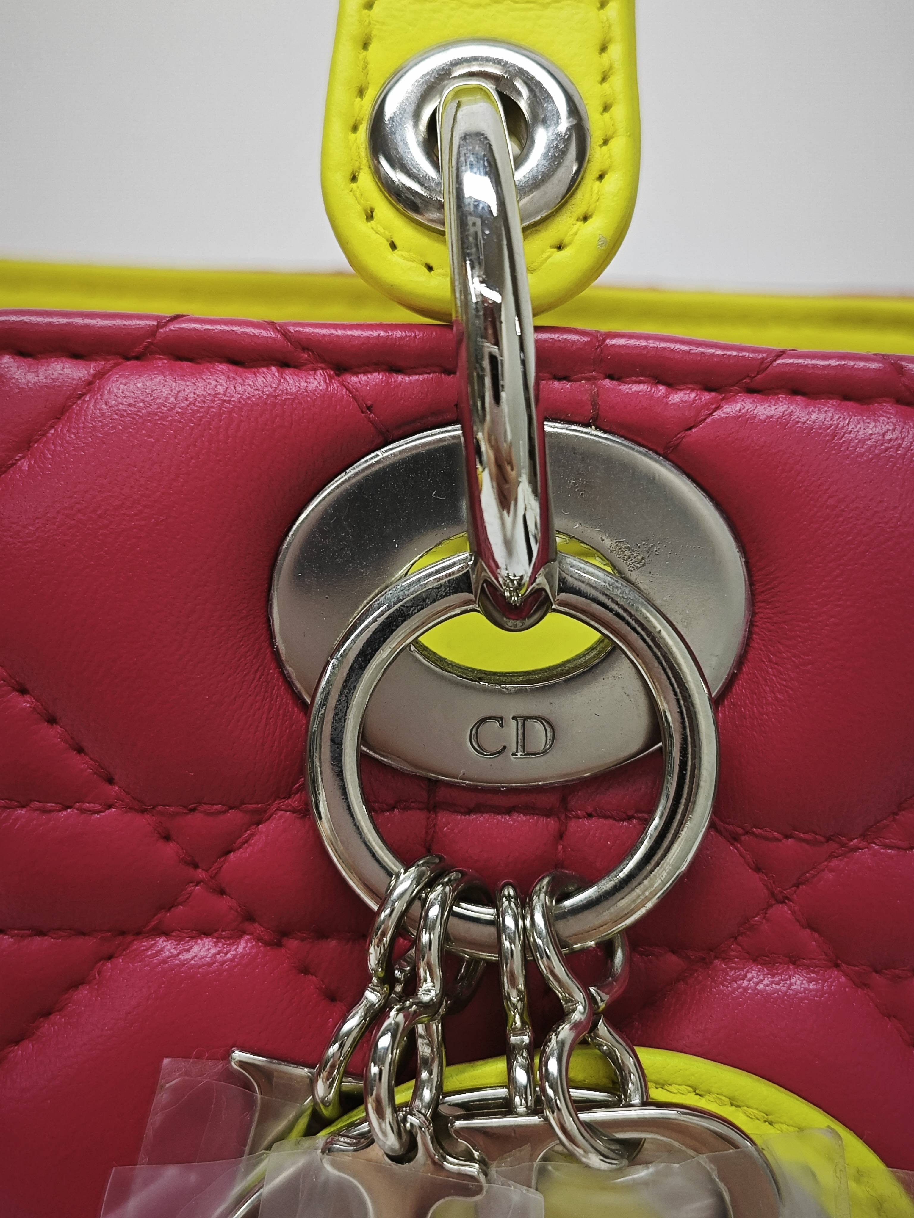 Dior Pink Crossbody