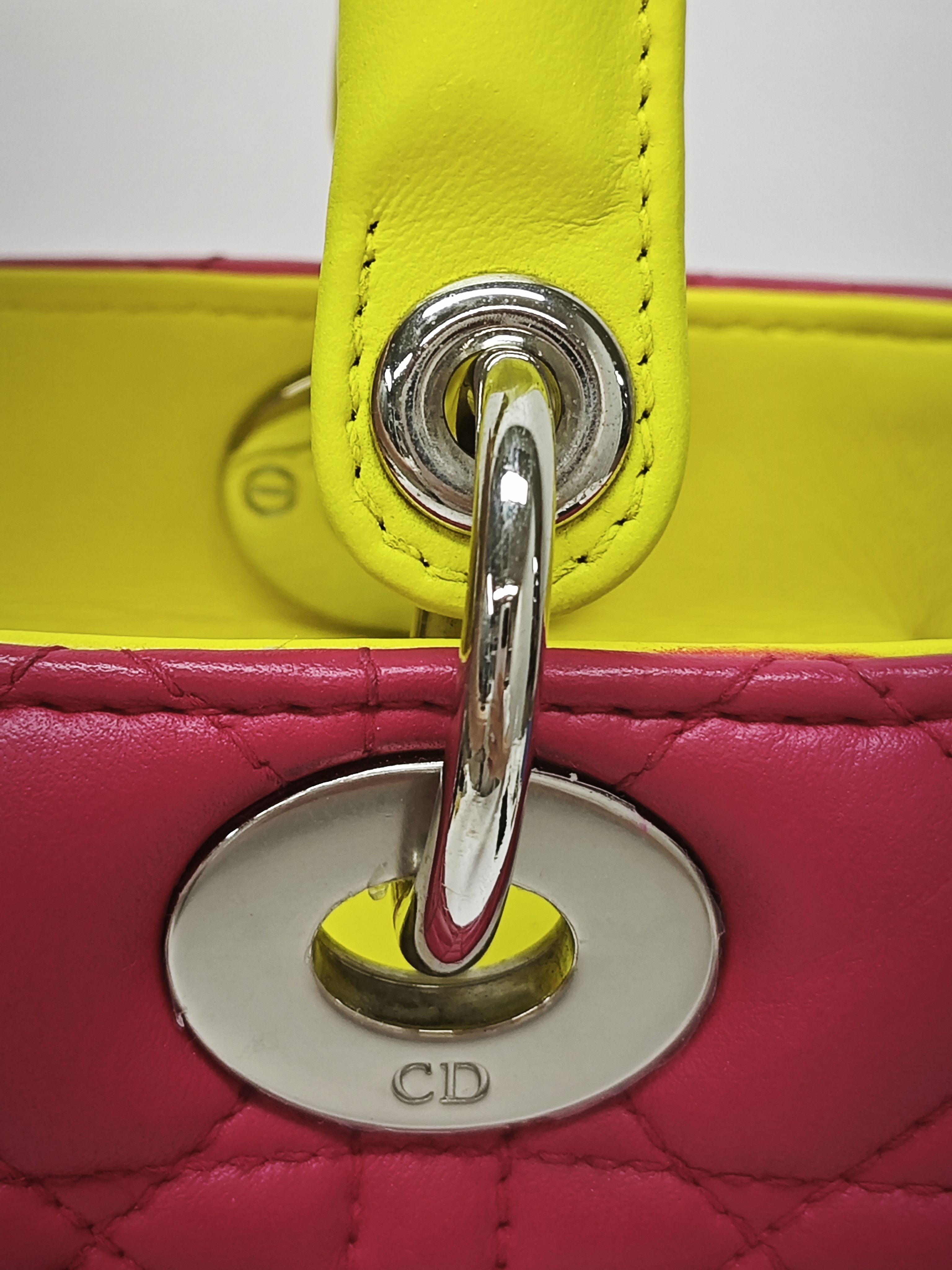 Dior Pink Crossbody