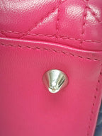 Dior Pink Crossbody