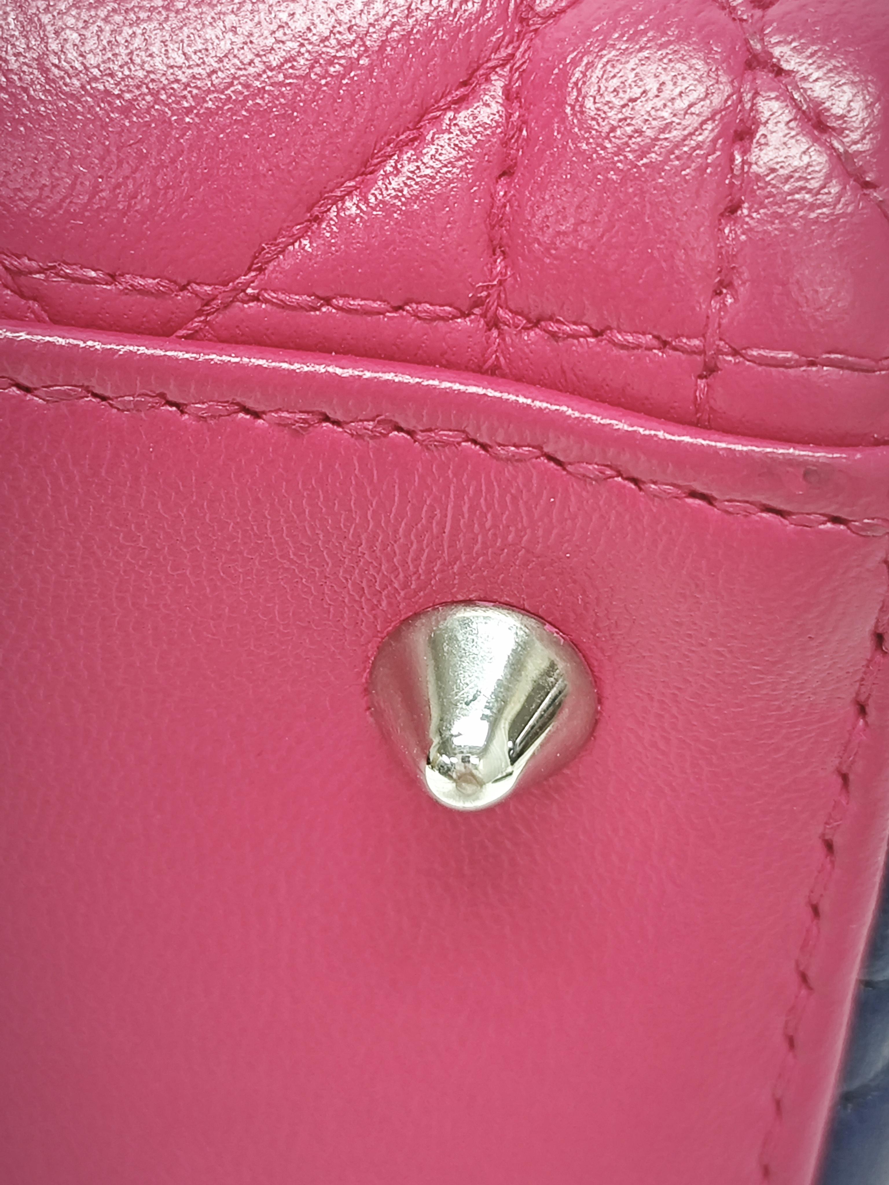 Dior Pink Crossbody