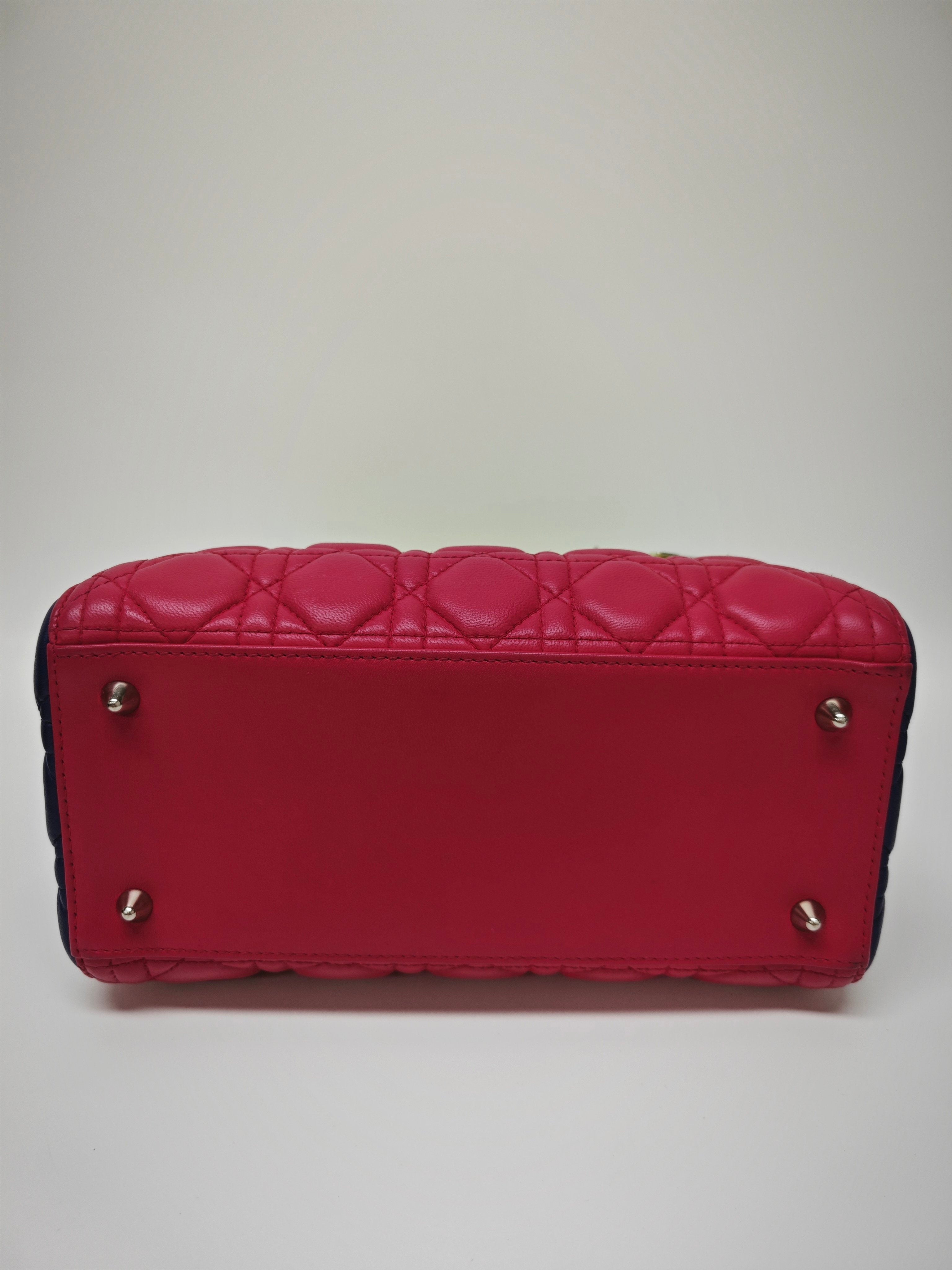 Dior Pink Crossbody