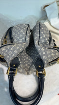 Louis Vuitton Gray