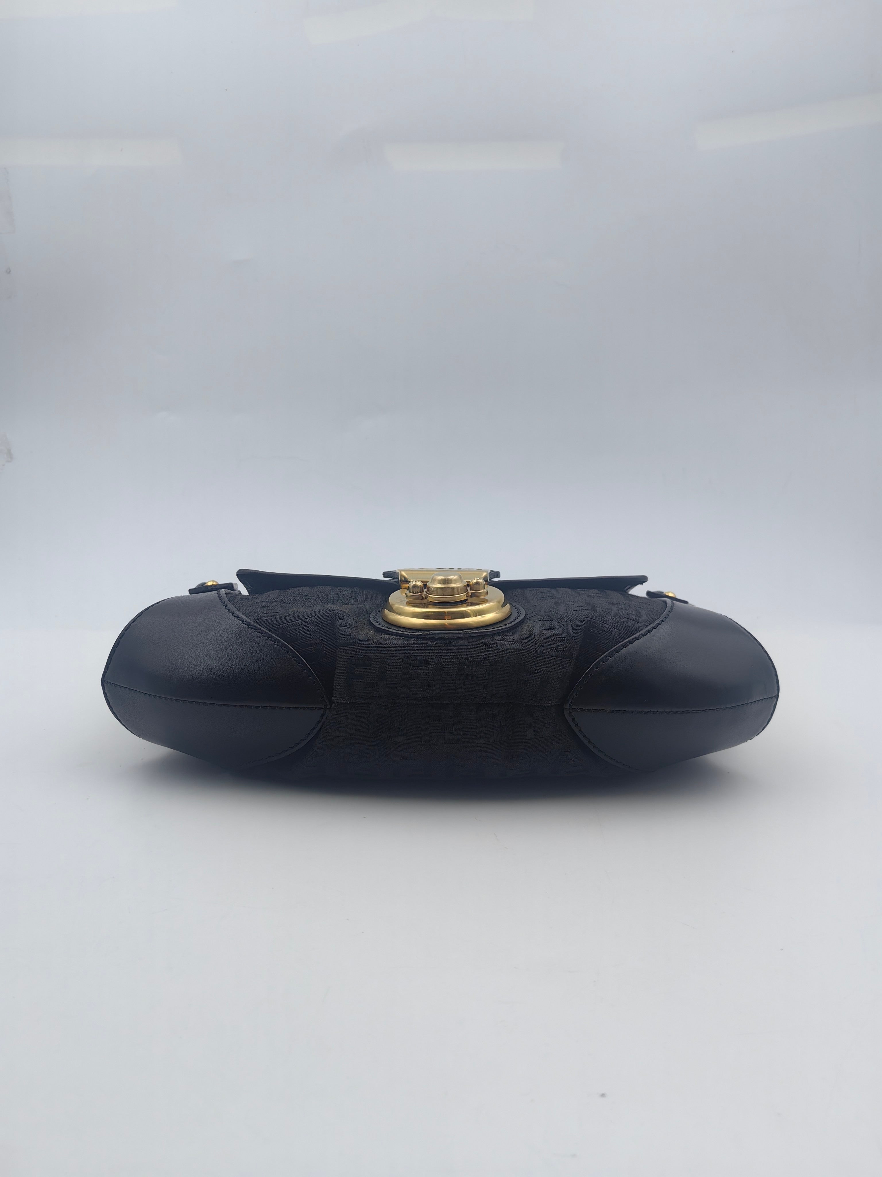 Fendi Canvas Black