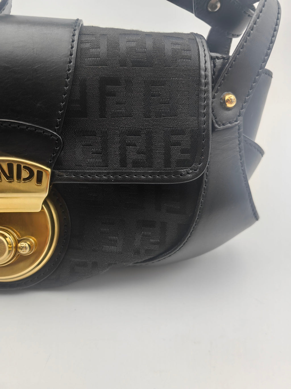 Fendi Canvas Black